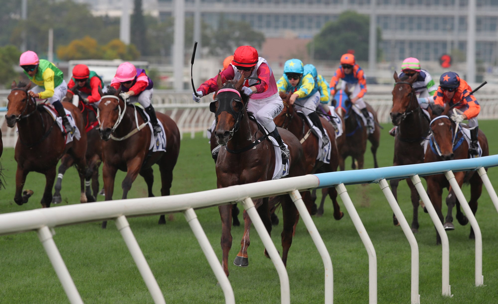 Ever Luck storms up the rail to win at Sha Tin in March. Ever Luck storms up the rail to win at Sha Tin in March.