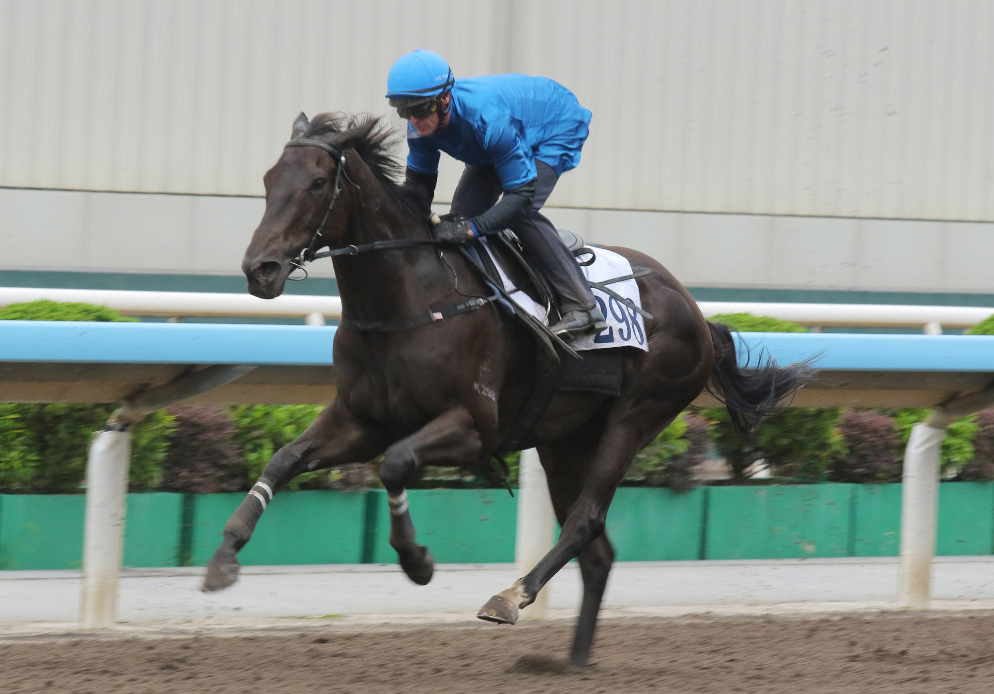 Dazzling Fit in action in a recent dirt trial. Dazzling Fit in action in a recent dirt trial.