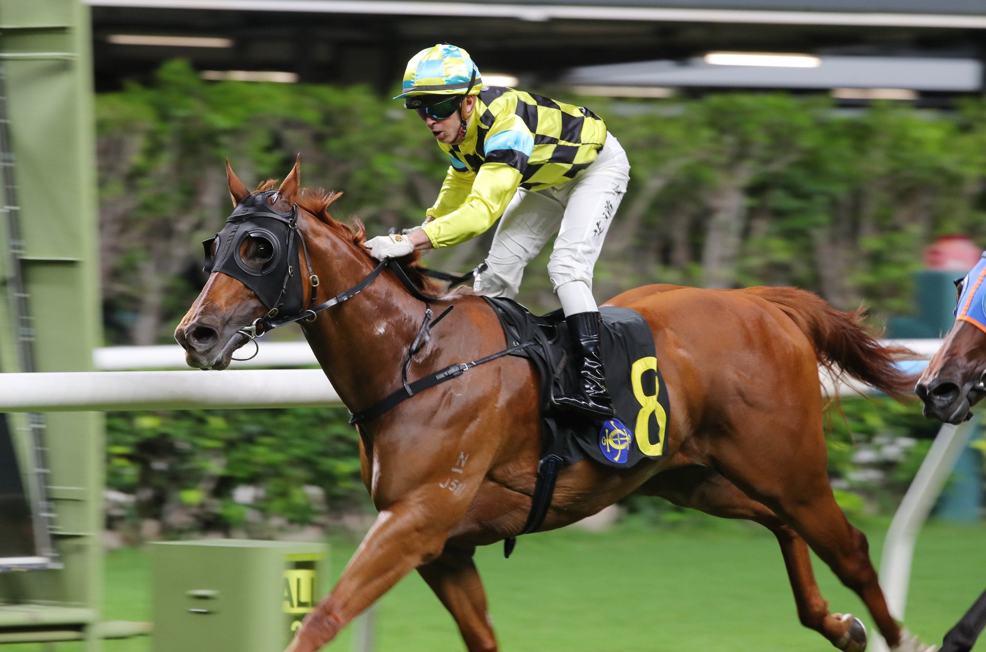 Holmes A Court wins under Brenton Avdulla in June. Holmes A Court wins under Brenton Avdulla in June.