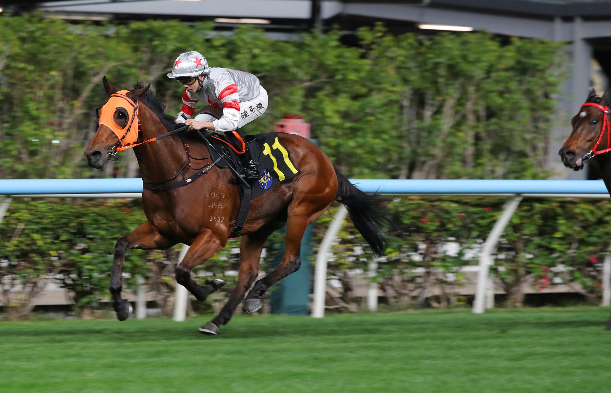 Macanese Master wins at the Valley in February. Macanese Master wins at the Valley in February.