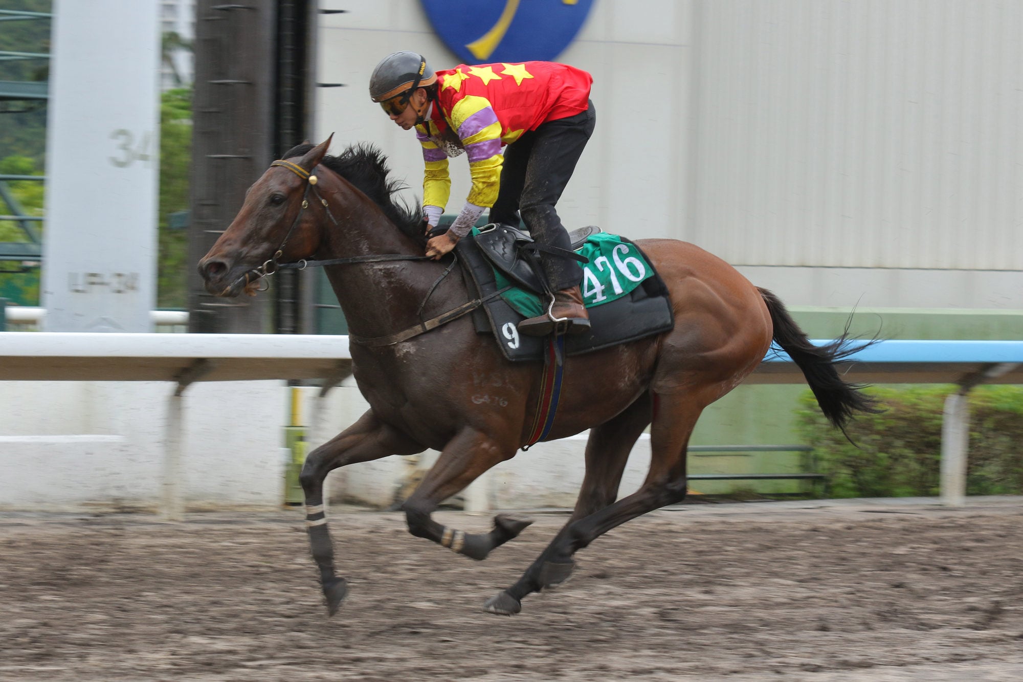 Romantic Laos trials on the dirt earlier this month under Jerry Chau. Romantic Laos trials on the dirt earlier this month under Jerry Chau.