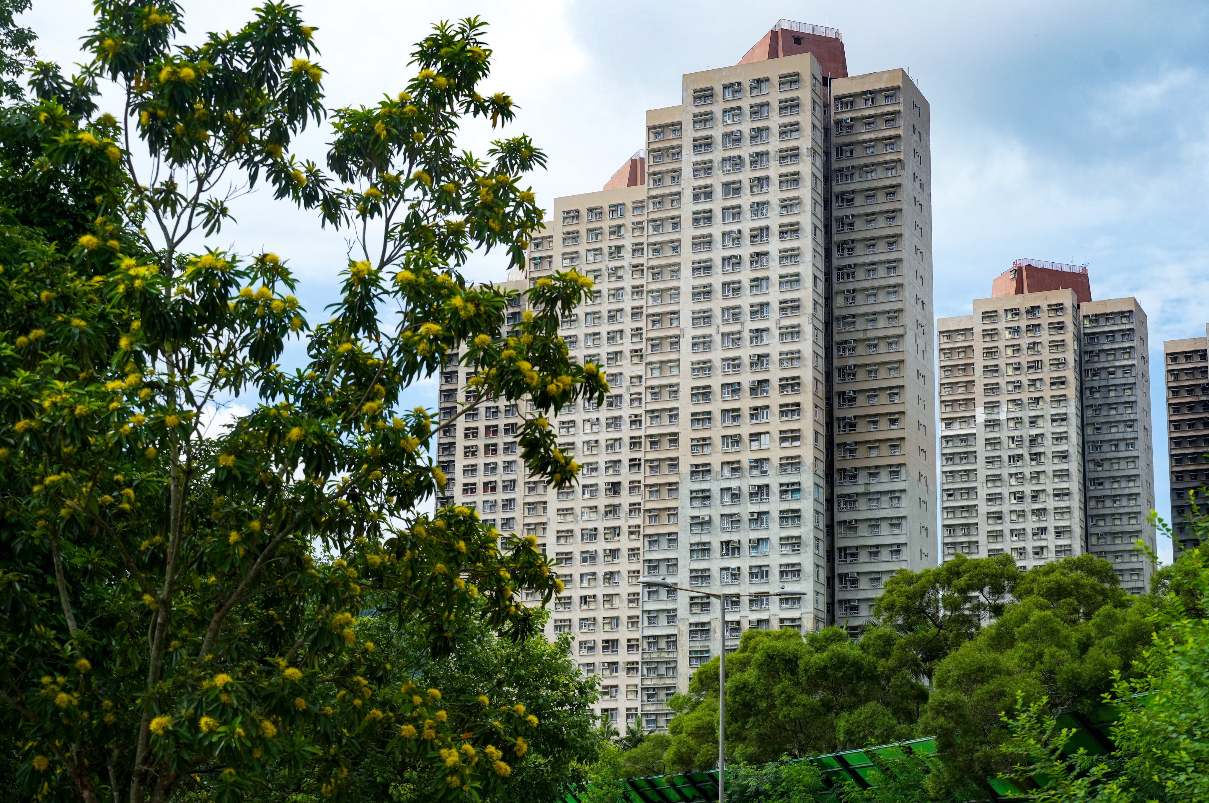 After the blaze last November, which killed 168 people and displaced nearly 5,000, the government announced a buy-back of all 1,984 flats at the subsidised housing estate in Tai Po. Photo: Sun Yeung