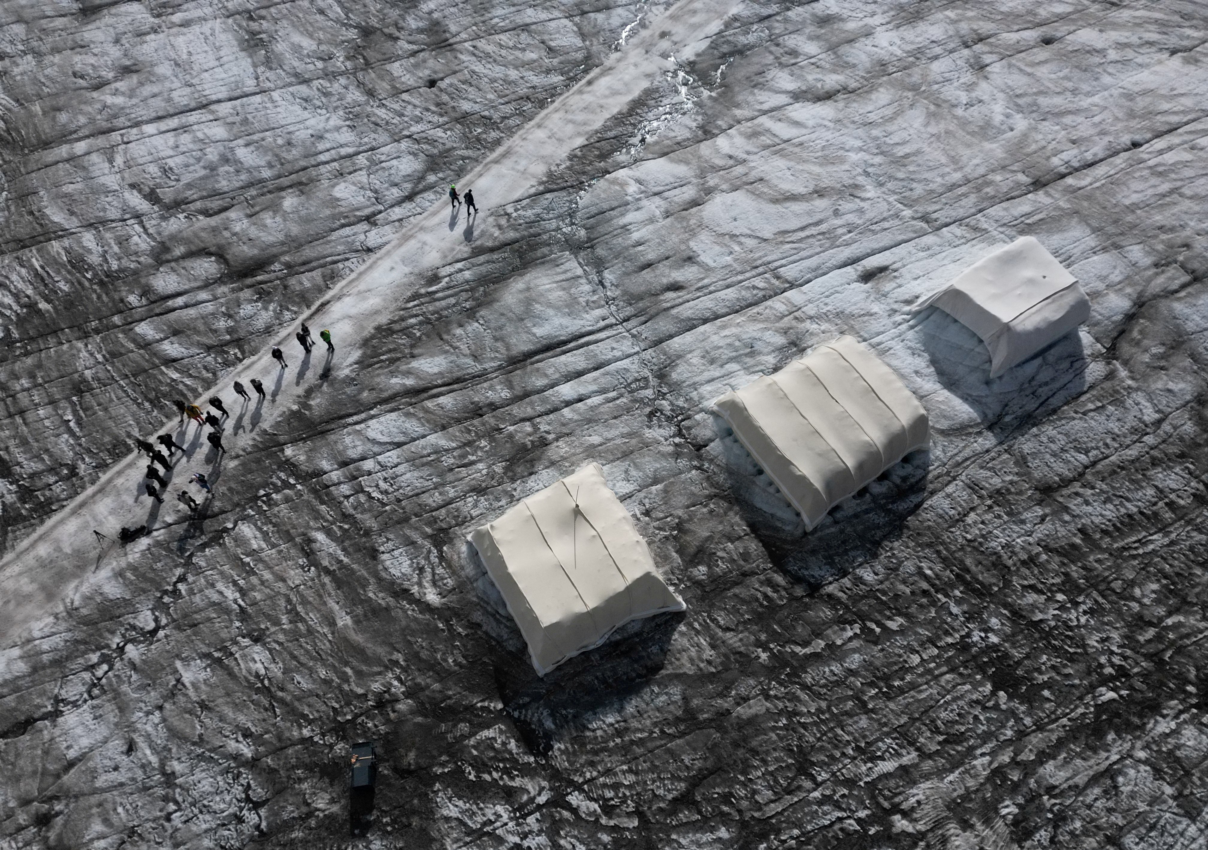 A snow protection test site is covered with sheep’s wool in Switzerland. Photo: Reuters