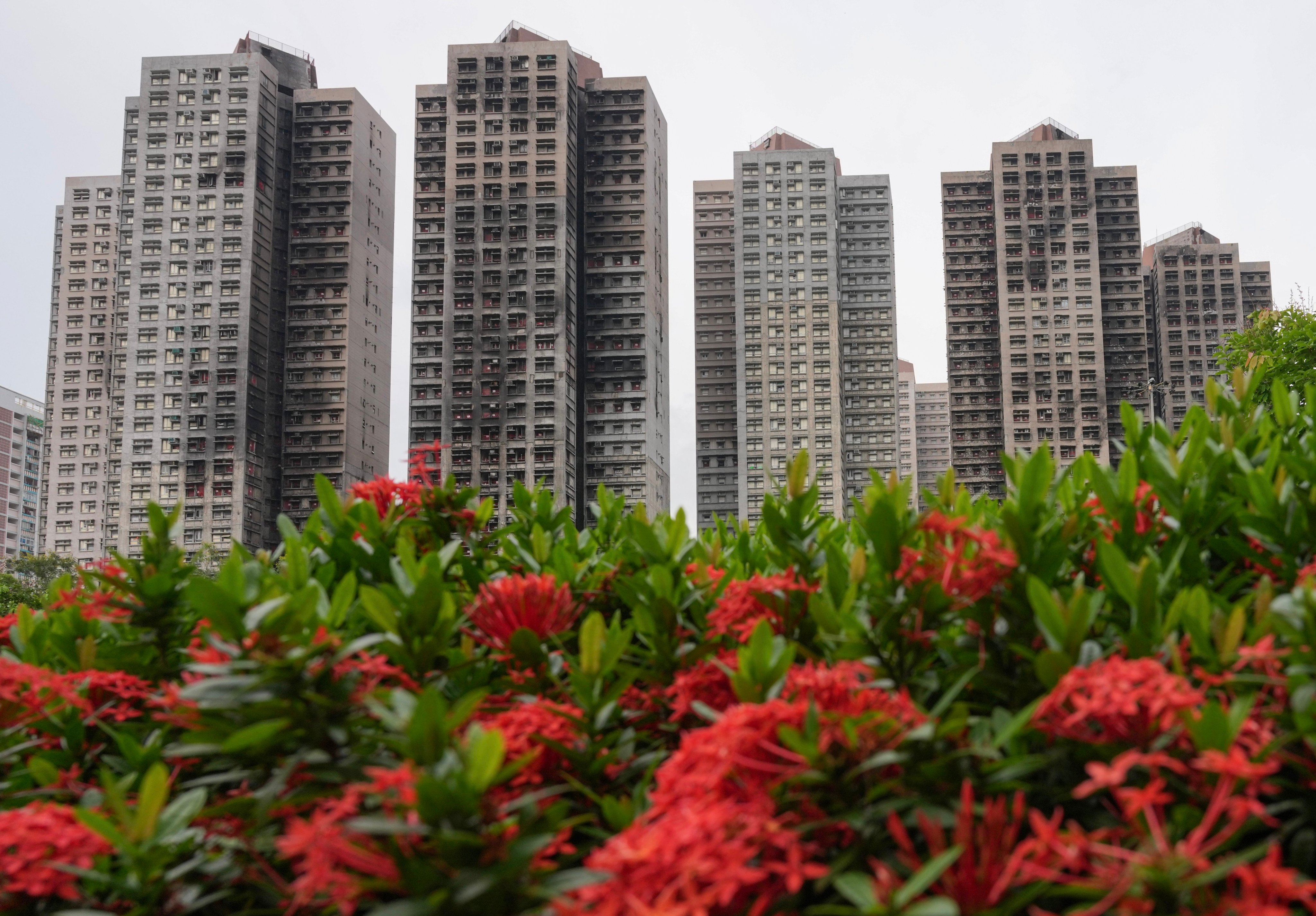 The fire, which ripped through Wang Fuk Court in November while the estate was undergoing major renovations, killed 168 residents. Photo: Karma Lo