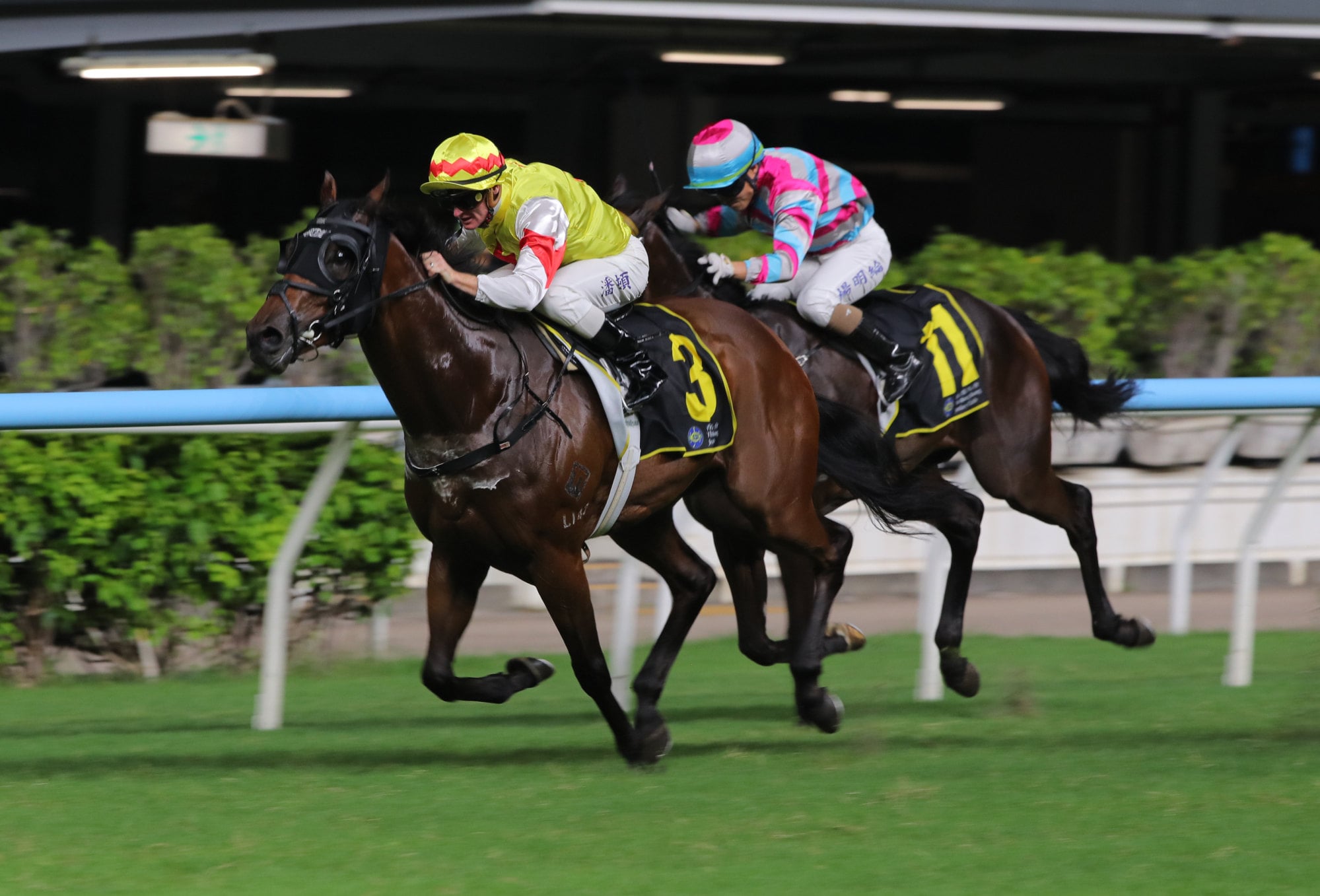 Live Wire wins at Happy Valley. Live Wire wins at Happy Valley.