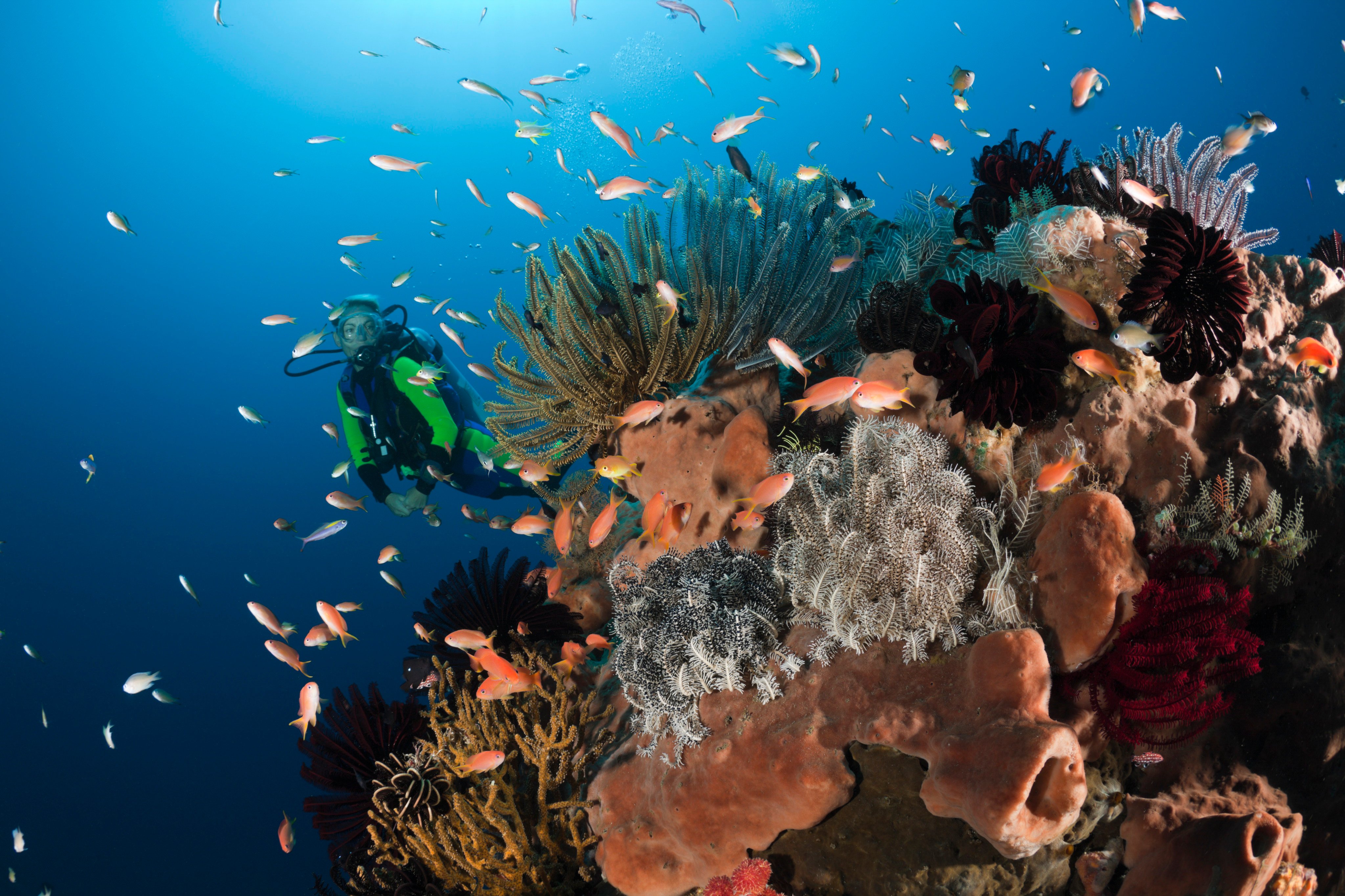 The incident has reignited concerns about safety at Indonesian tourist sites. Photo: Ullstein Bild via Getty Images
