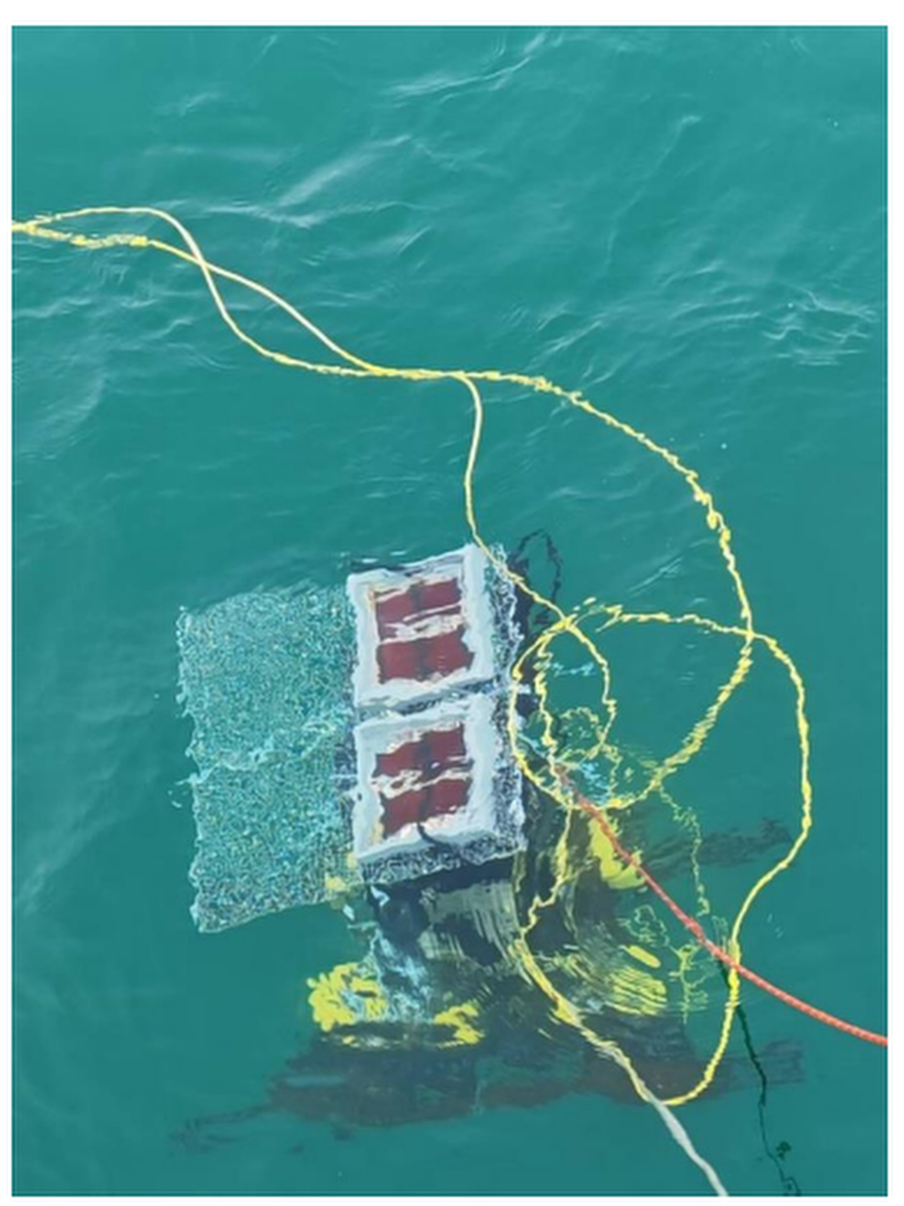 Two submerged PV units were carried by a submerged mini-robot to charge lithium-ion batteries at diverse depths underwater. Photo: Handout