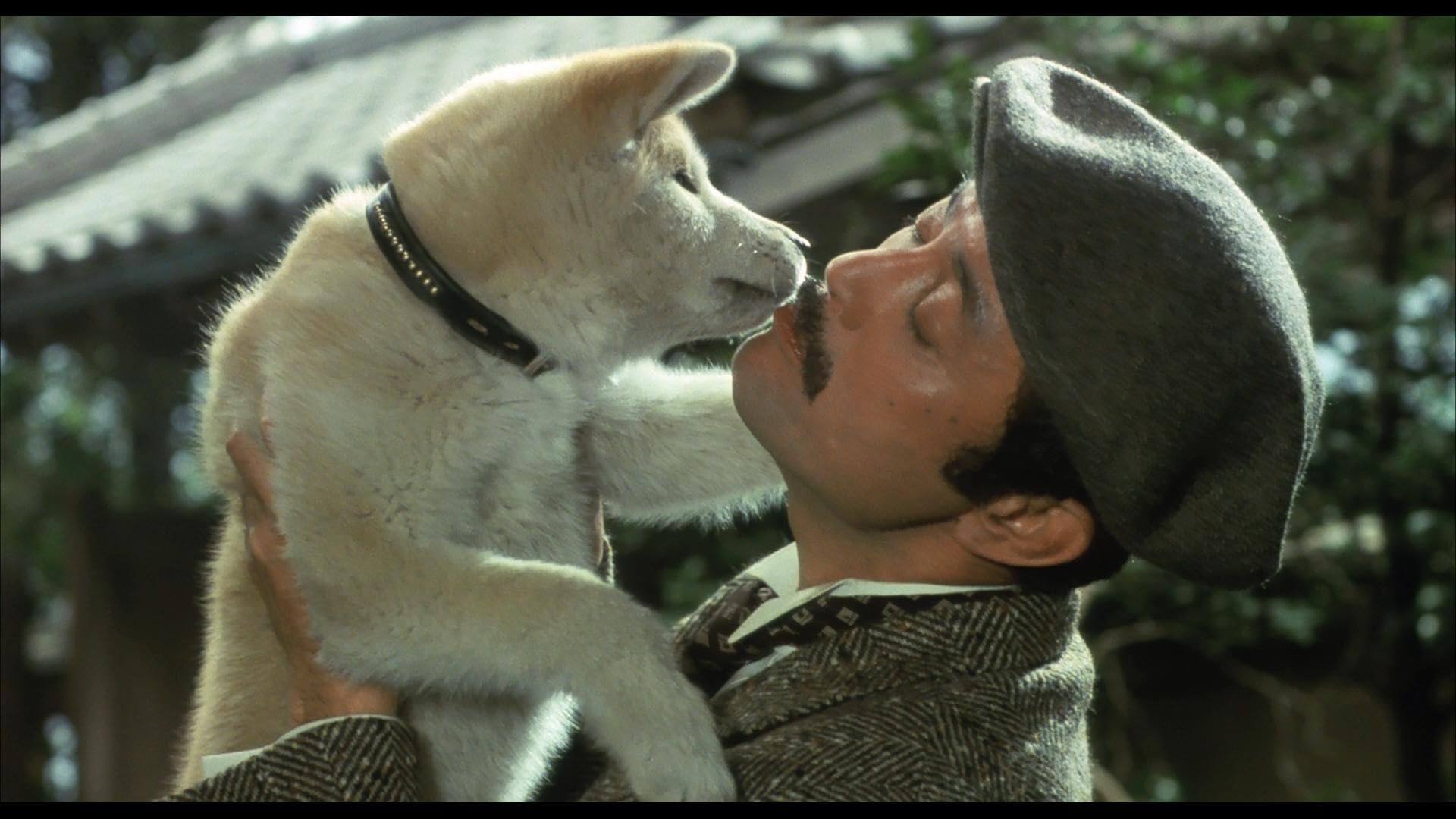 Japanese actor Tatsuya Nakadai in a still from Hachiko (1987), one of the best dog movies ever made.