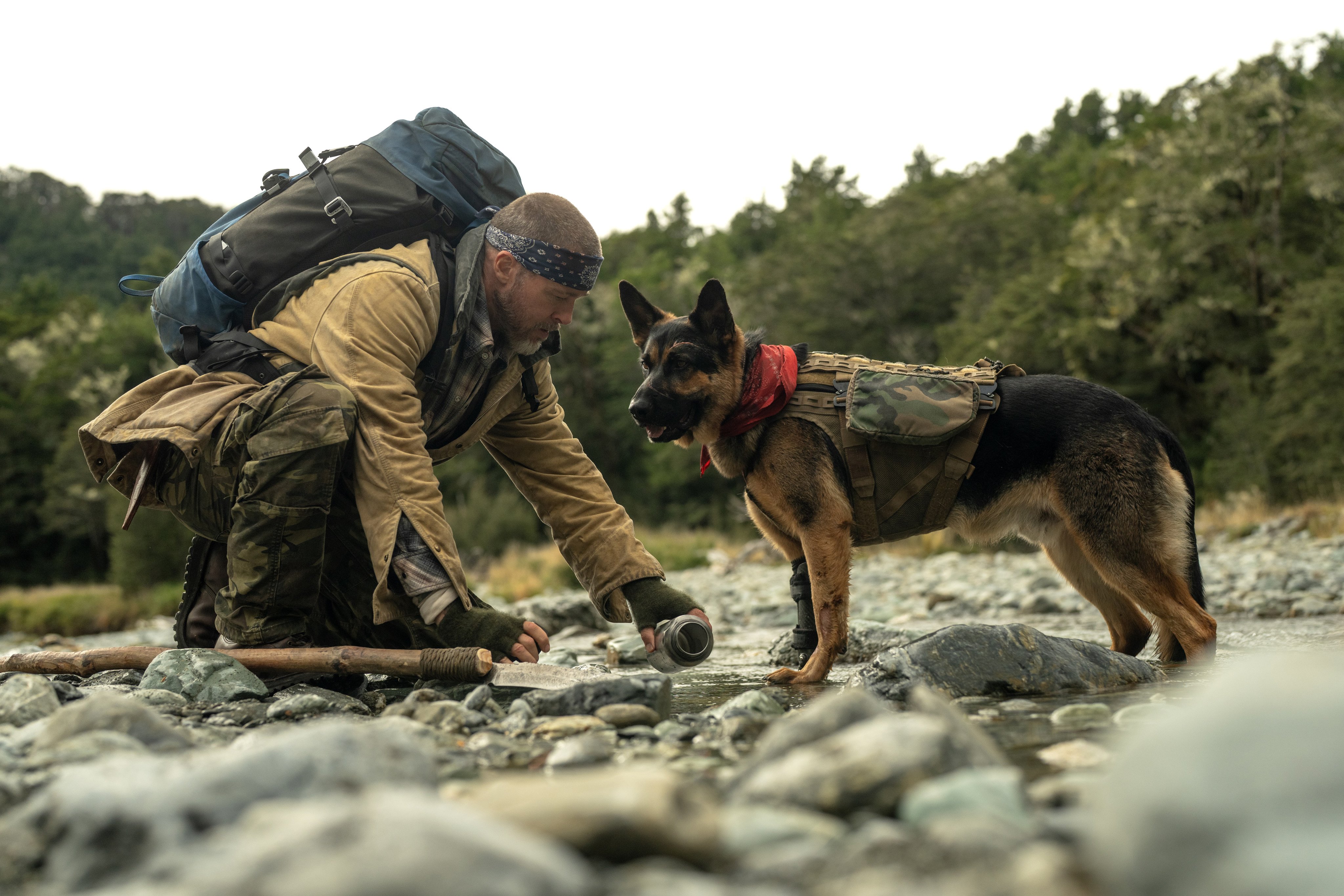 Brad Pitt as ex-special forces soldier James Belmont and Uber as ex-combat dog Odin in a still from Heart of the Beast (category IIA), directed by David Ayer. Photo: Paramount Pictures
