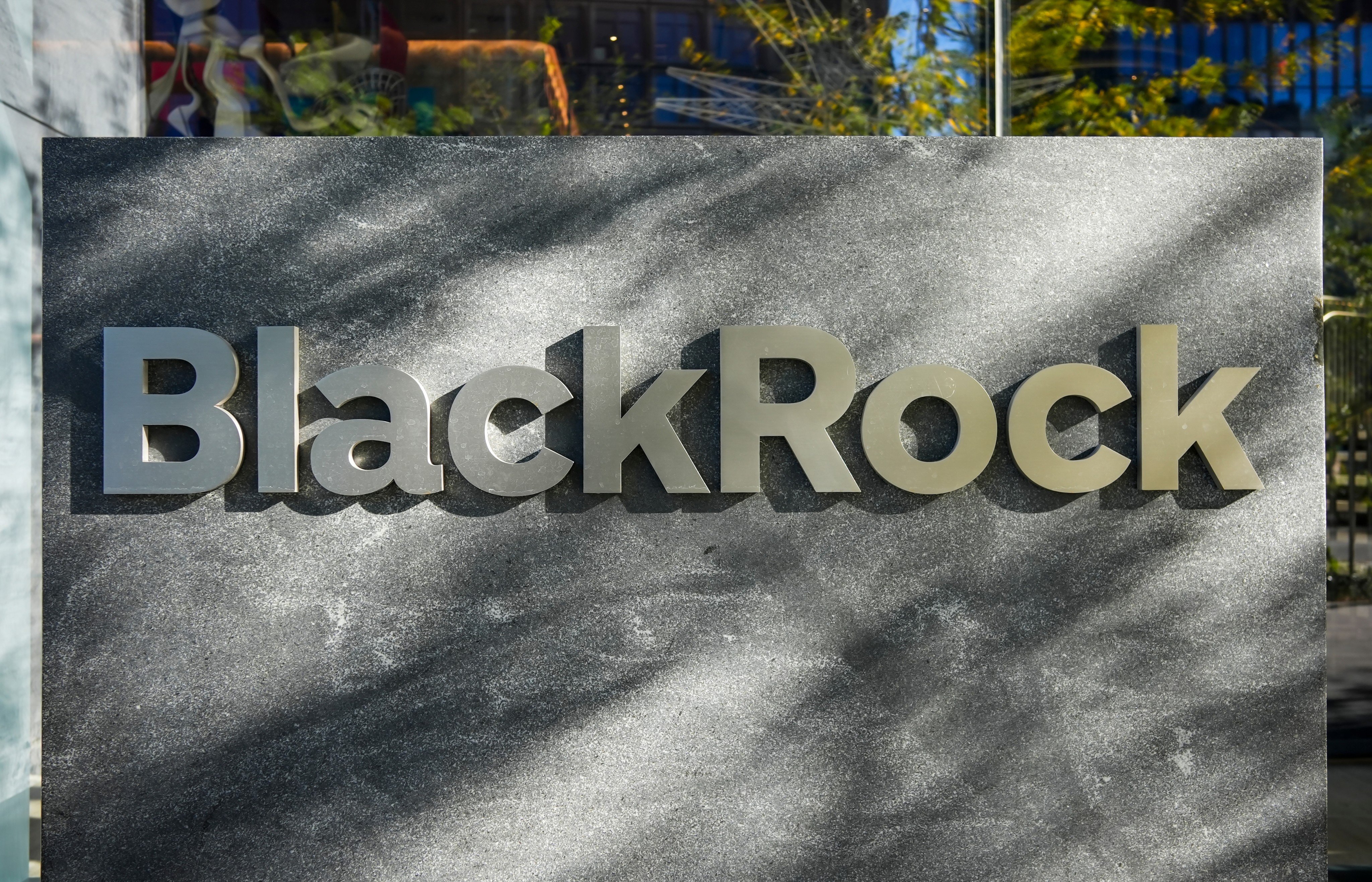 BlackRock must complete preparatory work within six months and pass an on-site inspection before beginning business under the qualification. Photo: Shutterstock