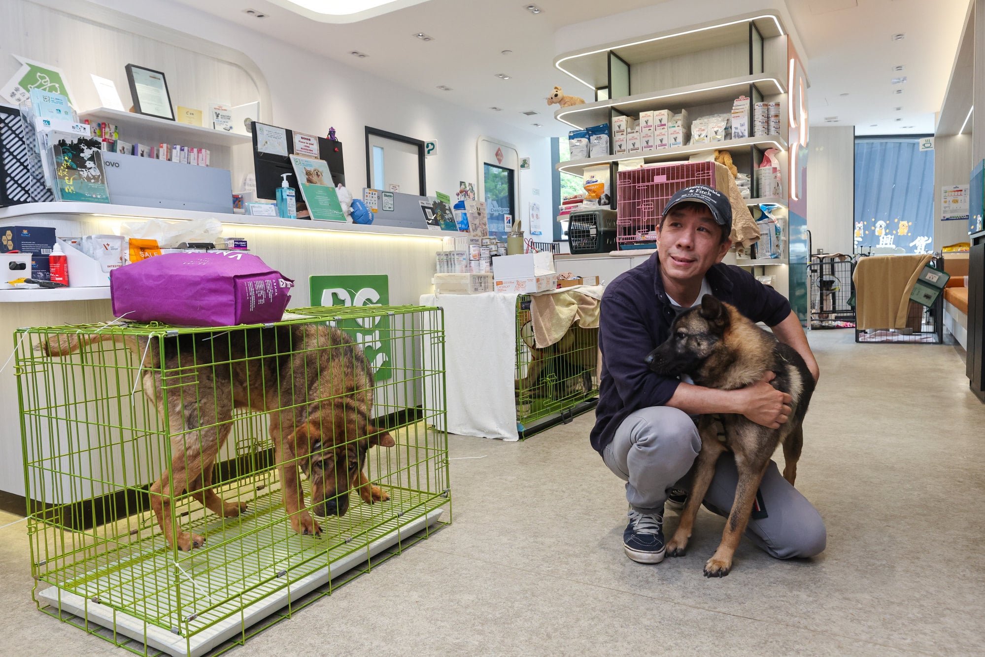 Kent Luk, founder of Paws Guardian Rescue Shelter, says a possible long-term solution is creating a government animal shelter managed by charitable organisations that could neuter the dogs and help them find adopters. Photo: Edmond So Kent Luk, founder of Paws Guardian Rescue Shelter, says a possible long-term solution is creating a government animal shelter managed by charitable organisations that could neuter the dogs and help them find adopters. Photo: Edmond So