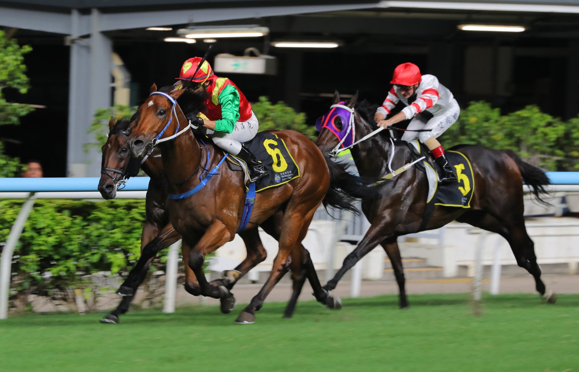 Georgian Sigma (5) runs third to Jumbo Blessing at the Valley. Georgian Sigma (5) runs third to Jumbo Blessing at the Valley.