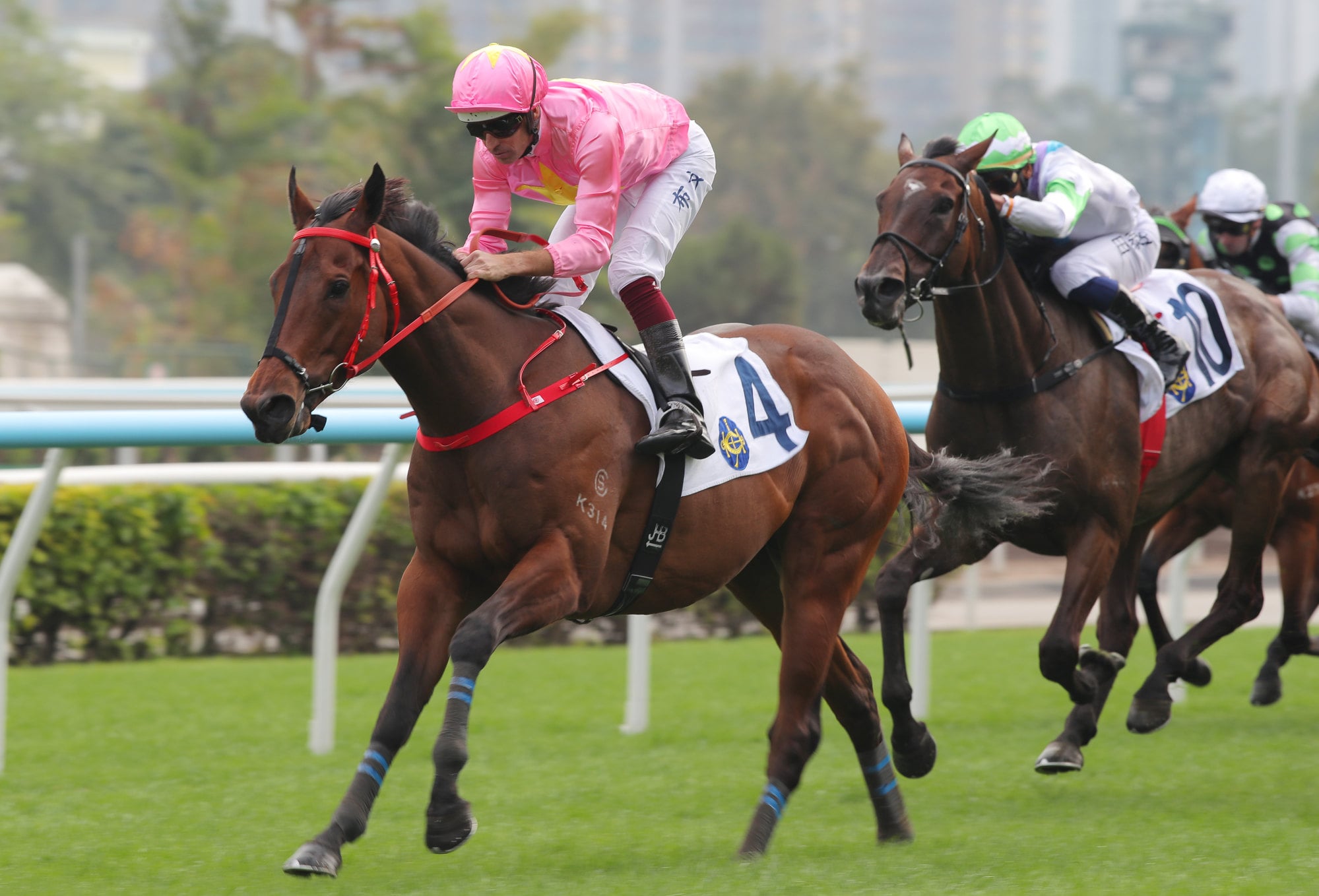 Wukong Jewellery wins at Sha Tin last December. Wukong Jewellery wins at Sha Tin last December.