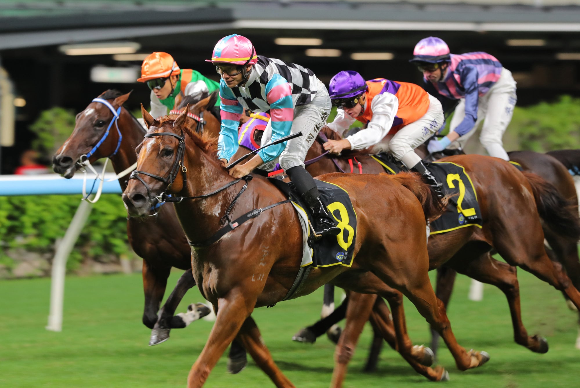 Akermanis Gold rockets home to win under Jerry Chau.