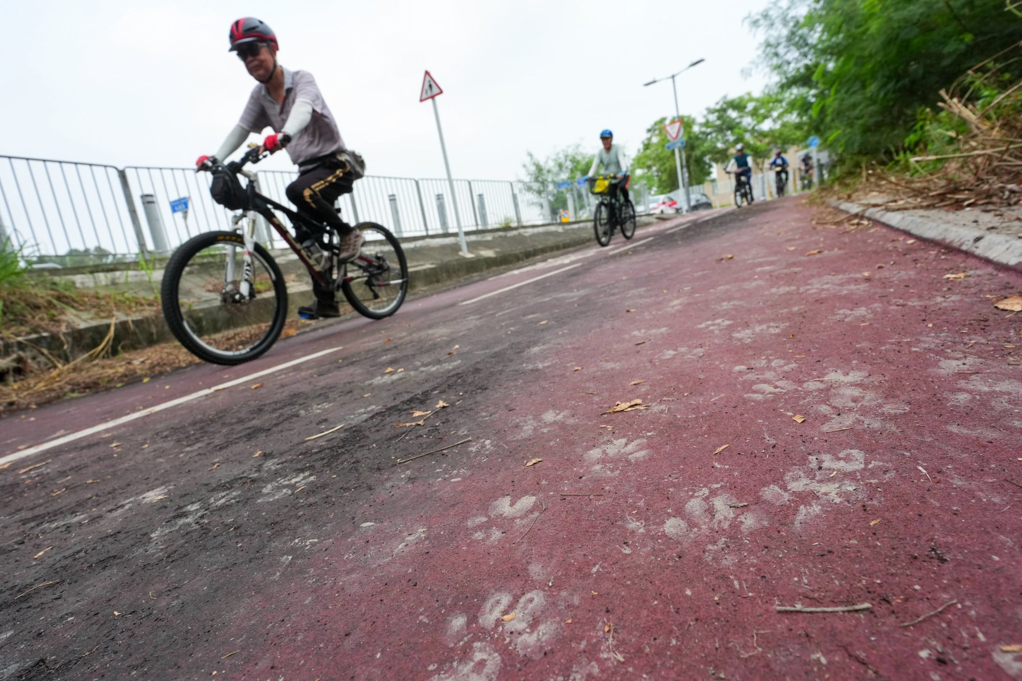 A cyclist was attacked by dogs in Yuen Long last Saturday. Photo: Kit Lai