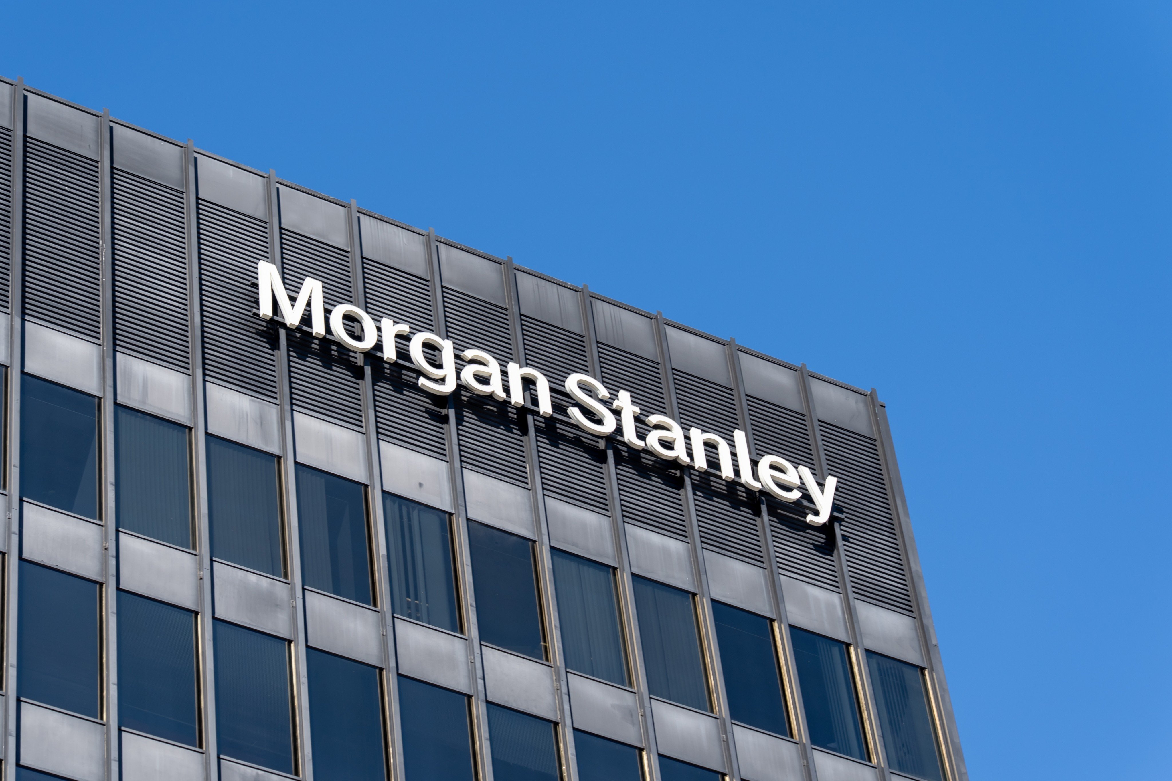 The US investment bank was the second largest bookrunner in IPOs and other equity fundraising in Hong Kong in the first half of this year. Photo: Shutterstock