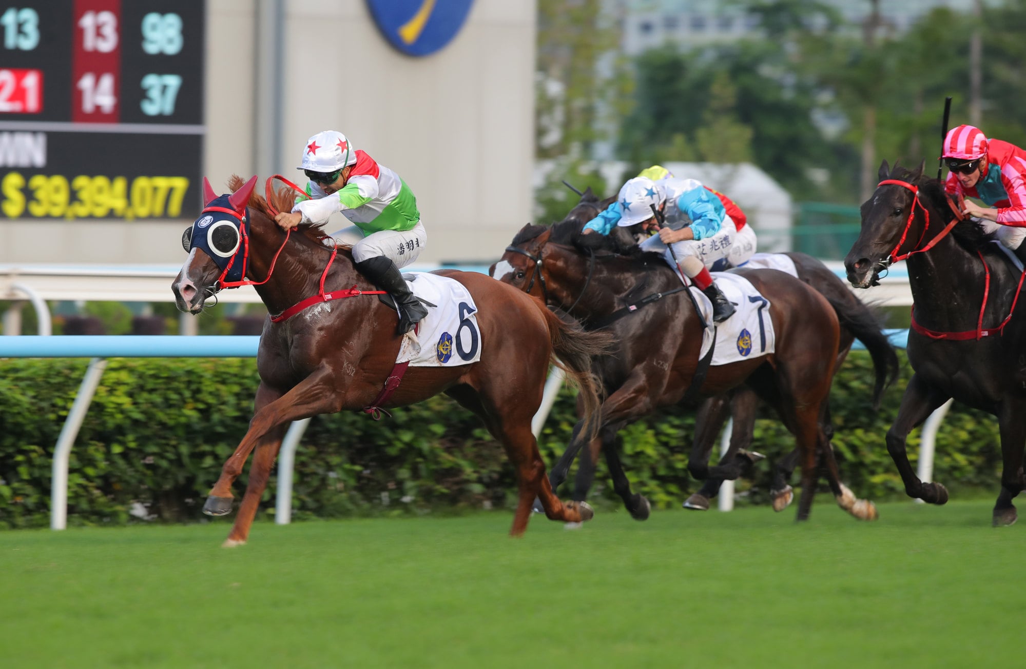 The Red Hare wins at Sha Tin in May. The Red Hare wins at Sha Tin in May.