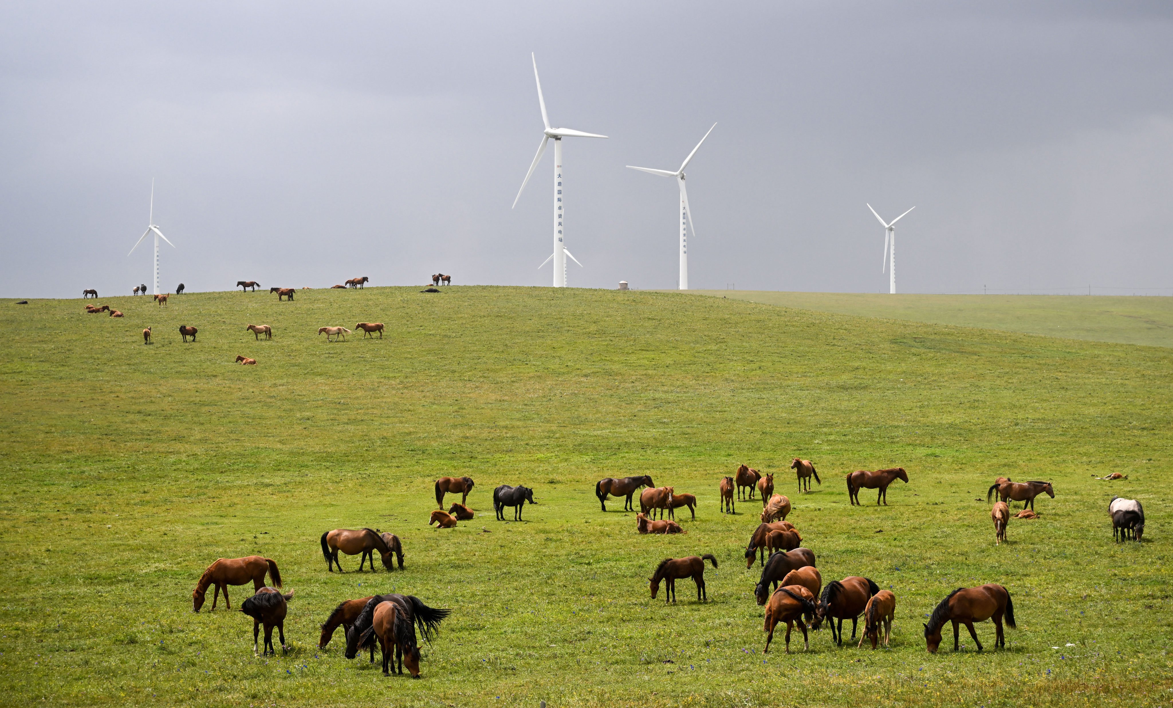 The scenery of Huitengxile Grassland in Ulanqab, a city in northern China’s Inner Mongolia Autonomous Region. Photo: Xinhua