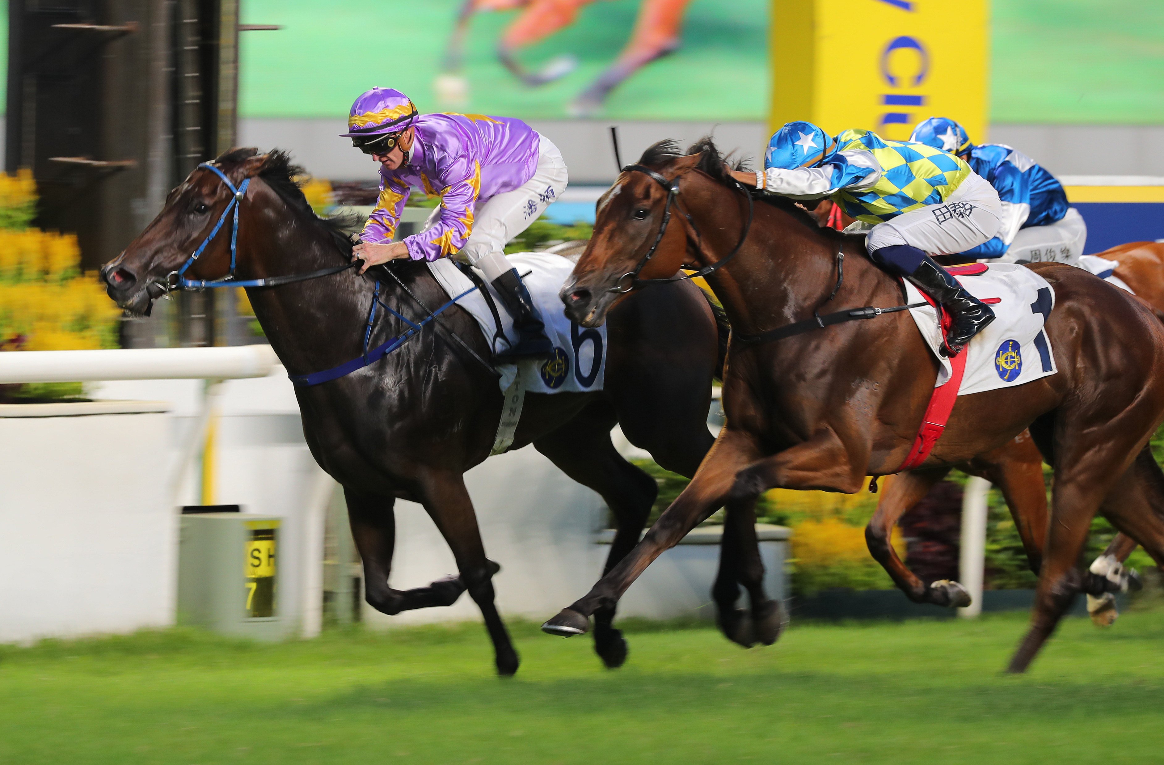 Galaxy Patch storms home to finish a close second to Little Paradise in the Premier Cup in June. Photos: Kenneth Chan