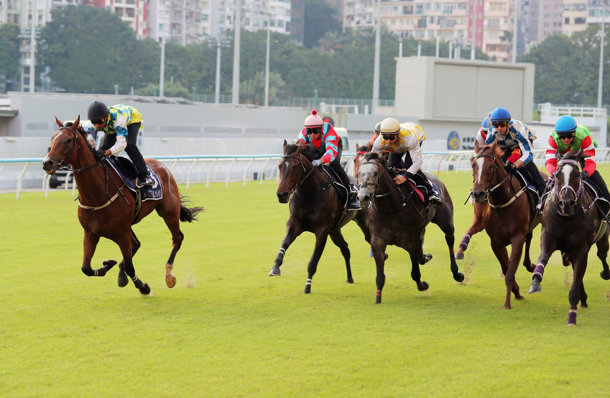 Galaxy Patch (inside) runs second in a Valley trial last week. Galaxy Patch (inside) runs second in a Valley trial last week.