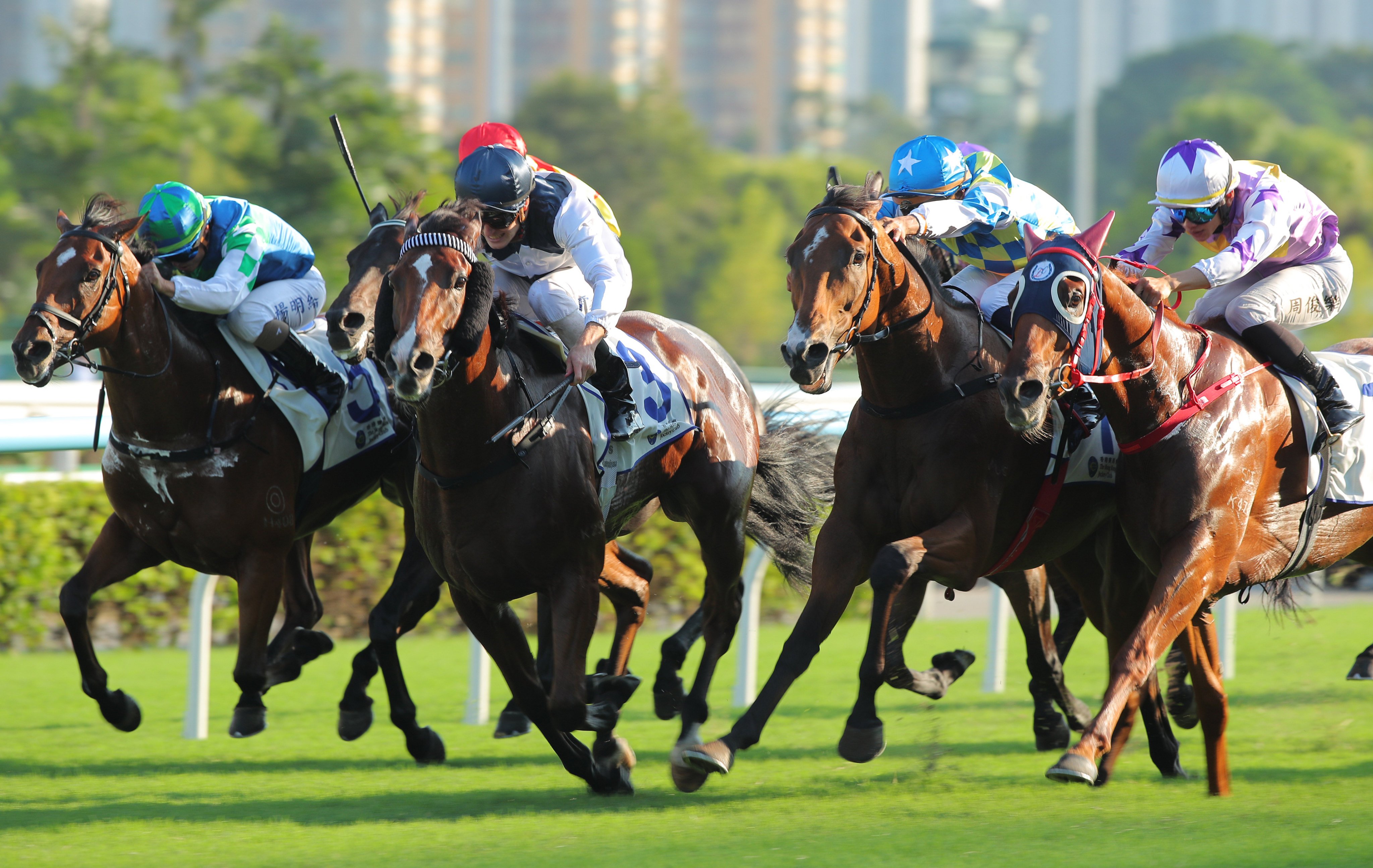 Luke Ferraris lifts Invincible Ibis (centre) to victory in the Celebration Cup. Photos: Kenneth Chan