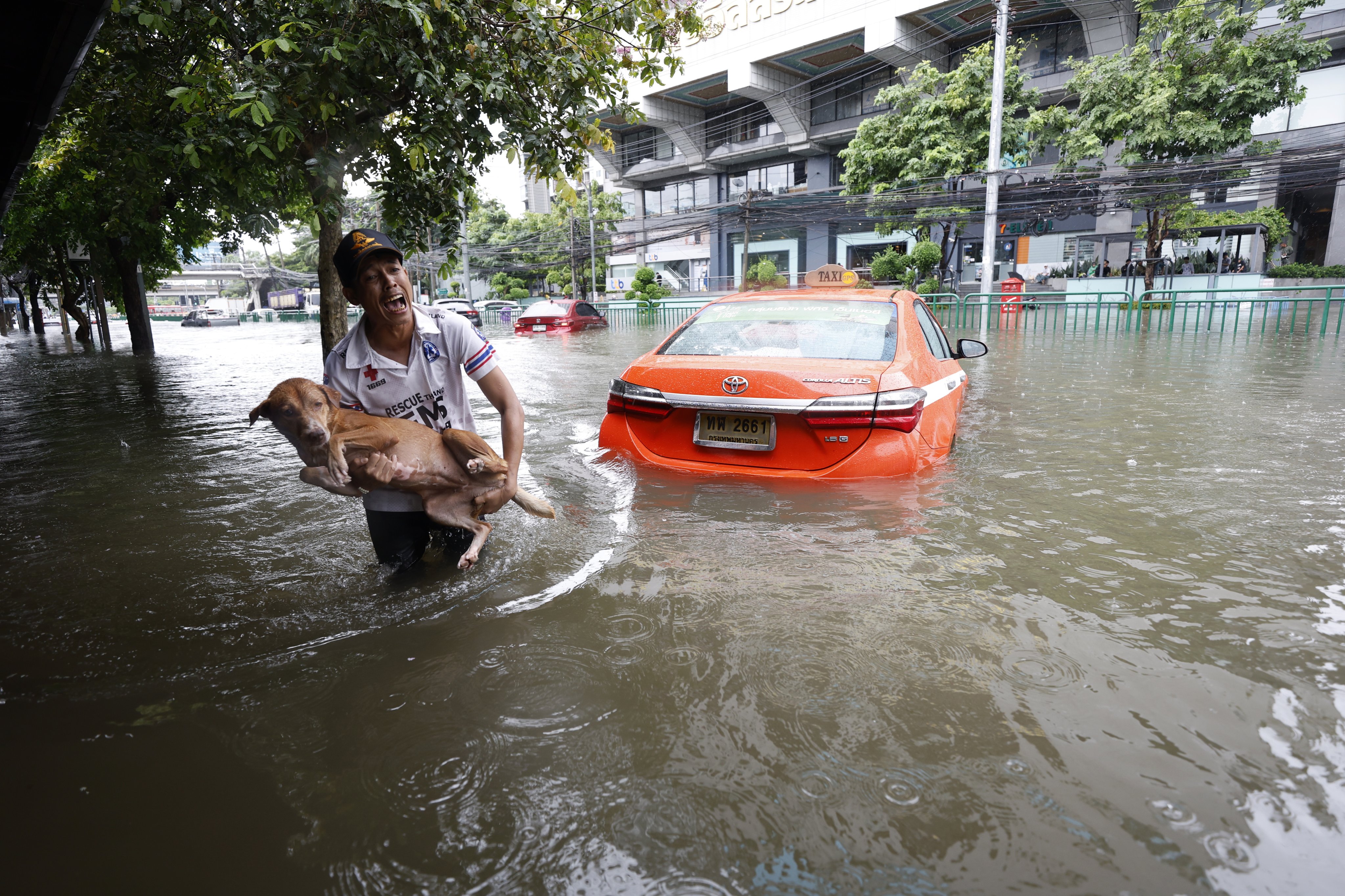 A man holds a dog while wading through floodwaters along Phetchaburi Road in Bangkok on Saturday. Photo: EPA