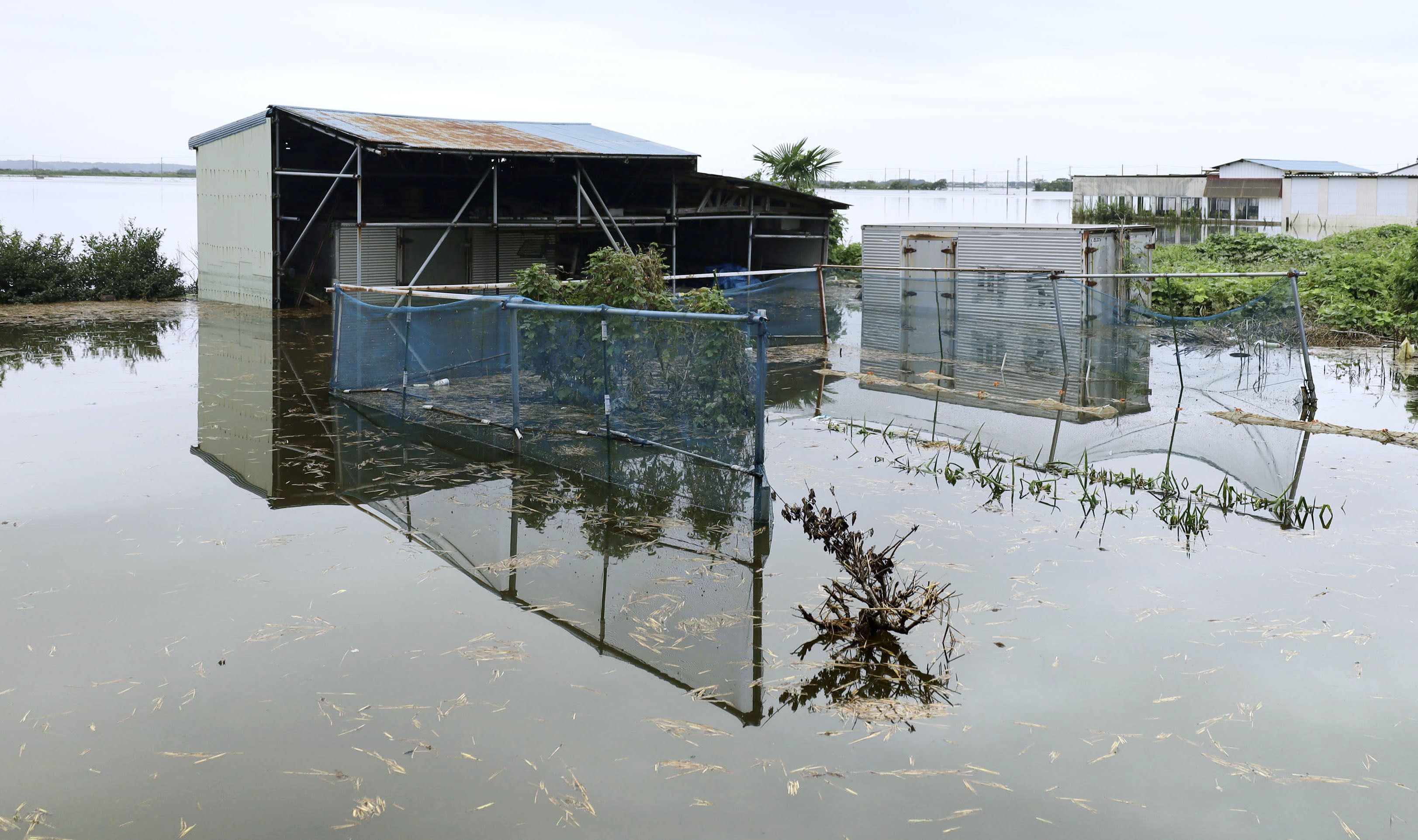 A flooded area at Lake Imbanuma in Narita, Chiba prefecture, on Wednesday, after heavy rainfall from Typhoon Dujuan. Photo: Kyodo