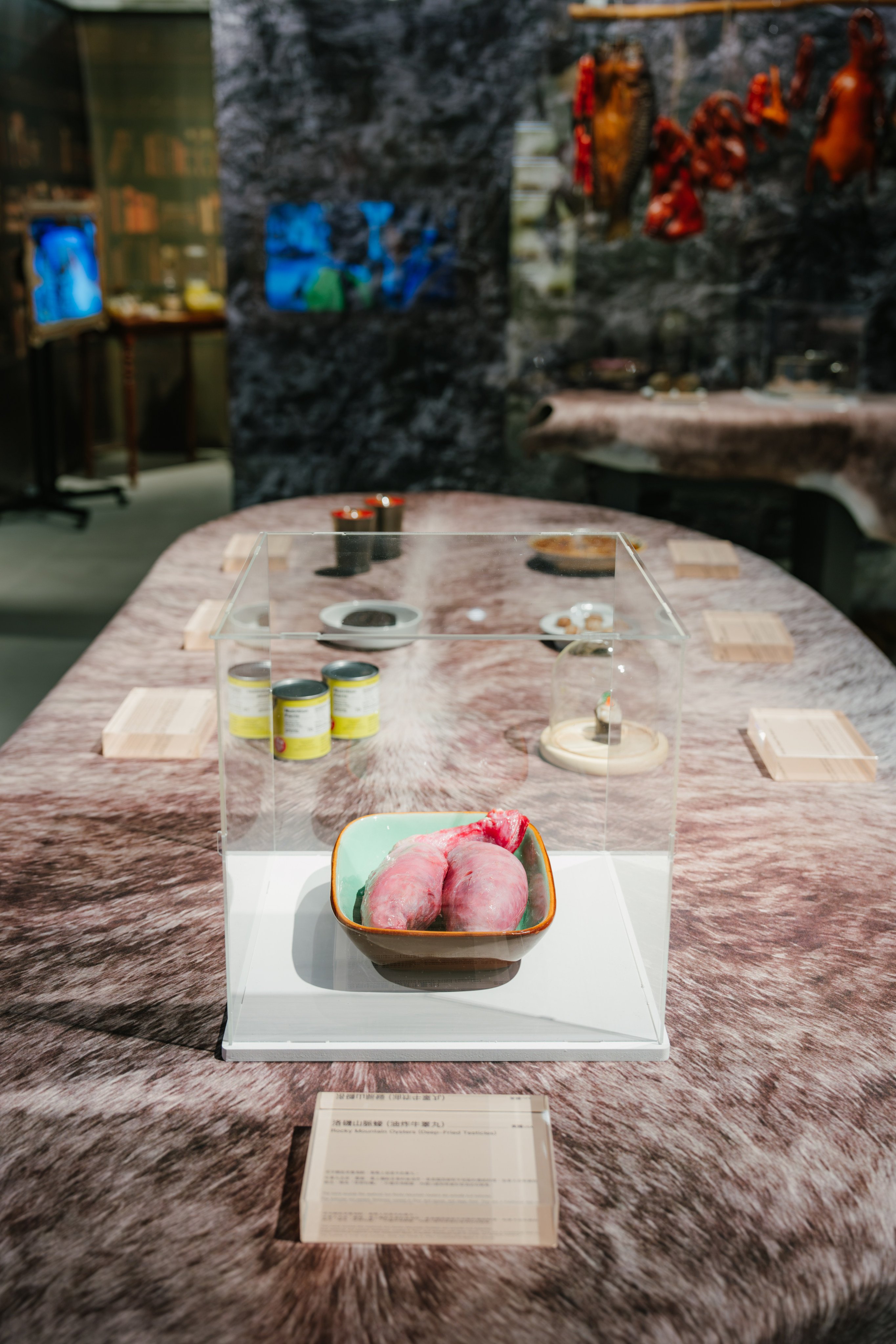 Bull testicles, affectionately known in North America as “Rocky Mountain oysters”, on display at the Disgusting Food Museum’s Hong Kong pop-up at Airside in Kai Tak. Photo: Disgusting Food Museum HK