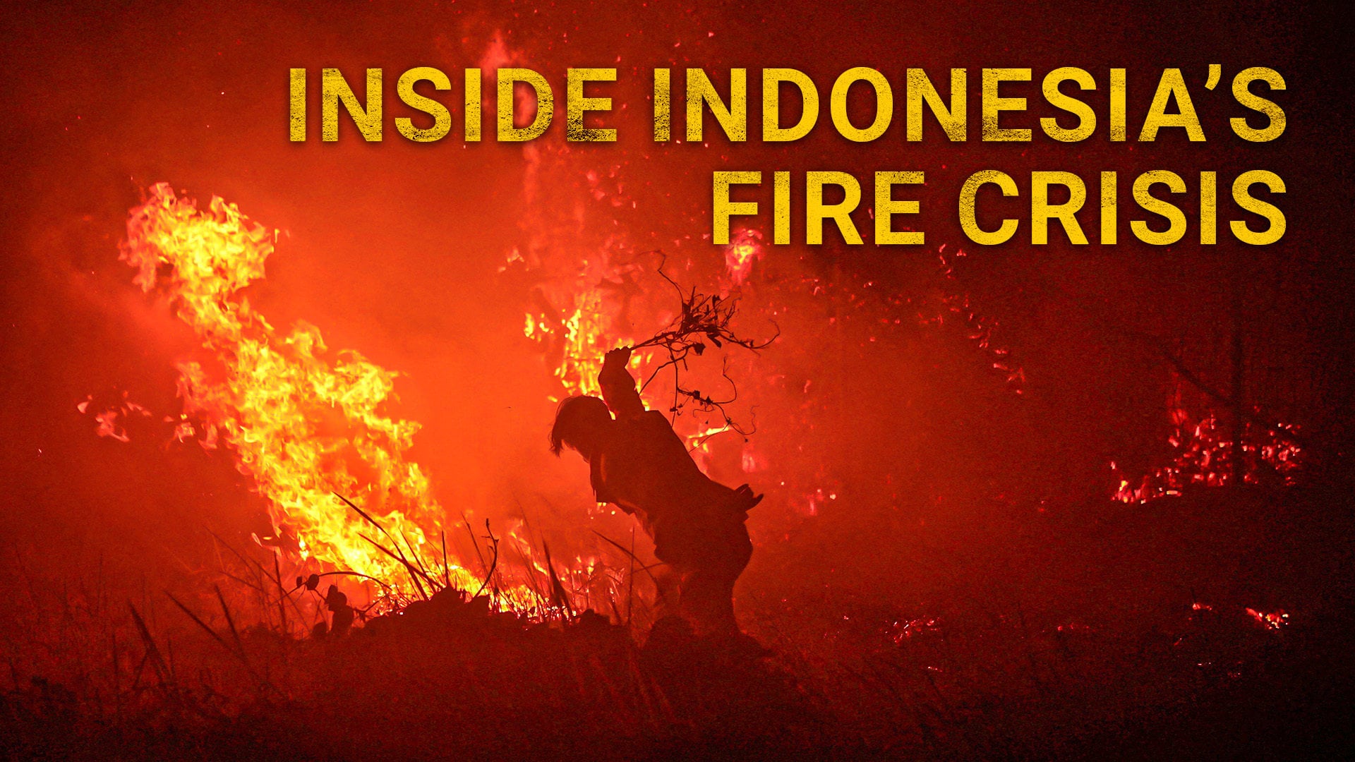 Behind Indonesia’s wildfire problem