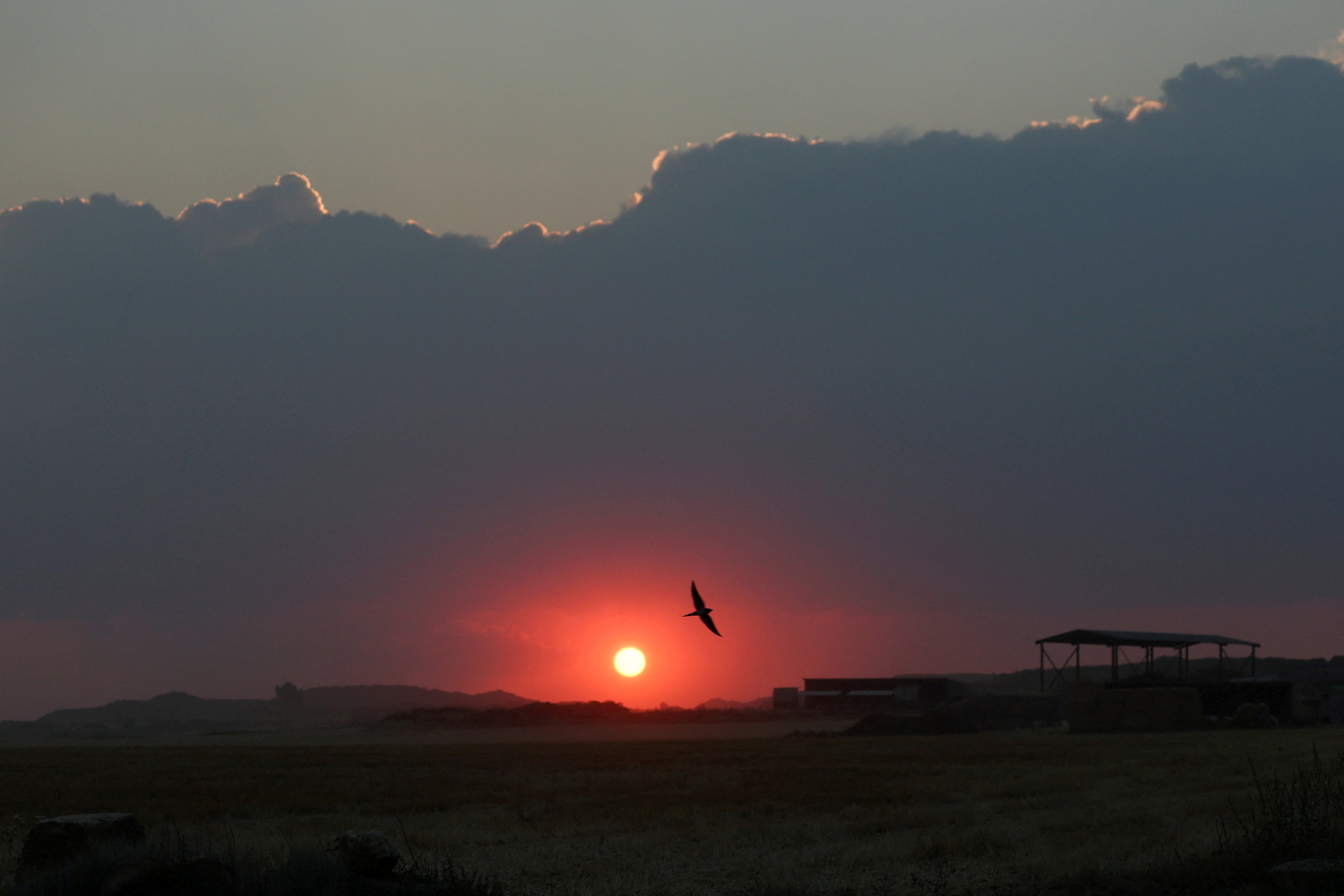 The sun is partially obscured by wildfire smoke in Farasdues, Spain, in July. Photo: Reuters
