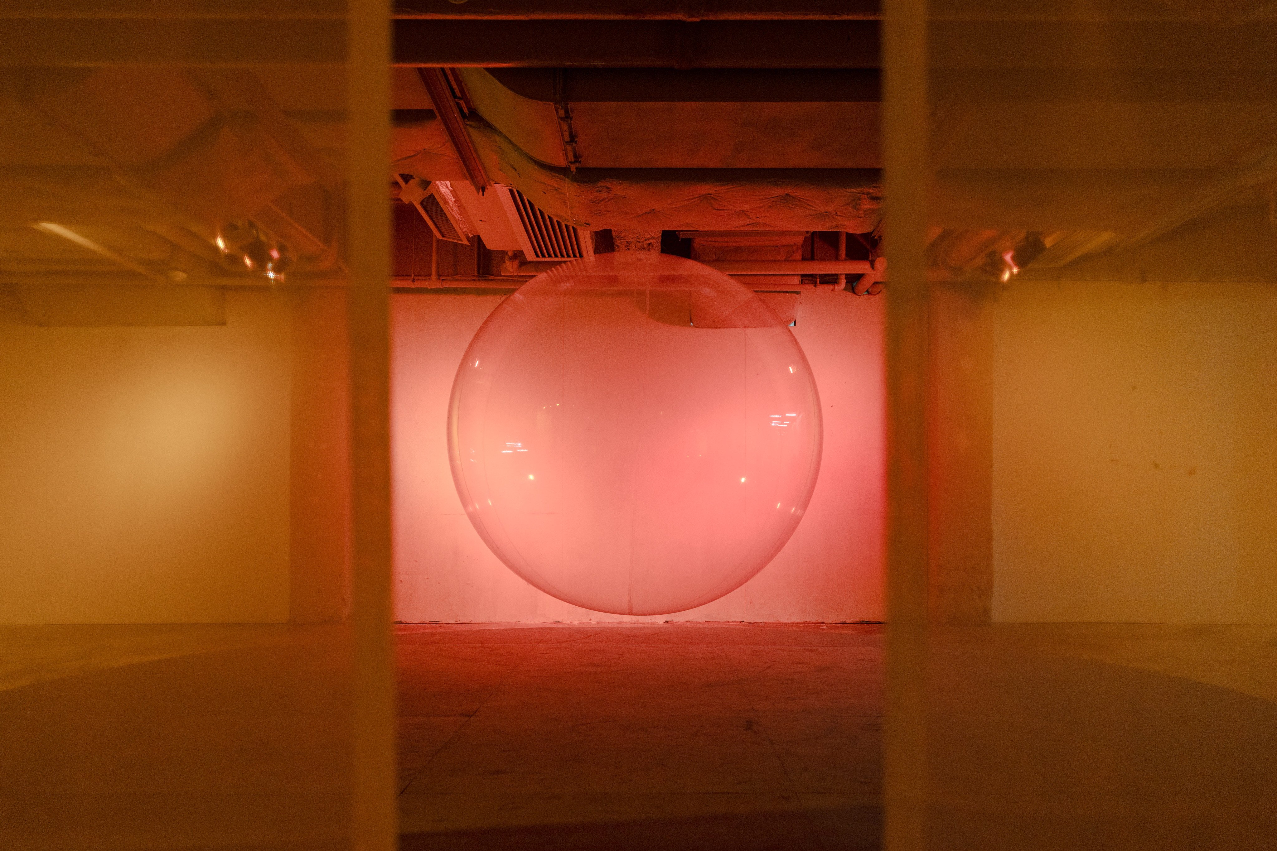 The “What We Regret Most” exhibition focuses on feelings of remorse. Photo: courtesy What we regret most