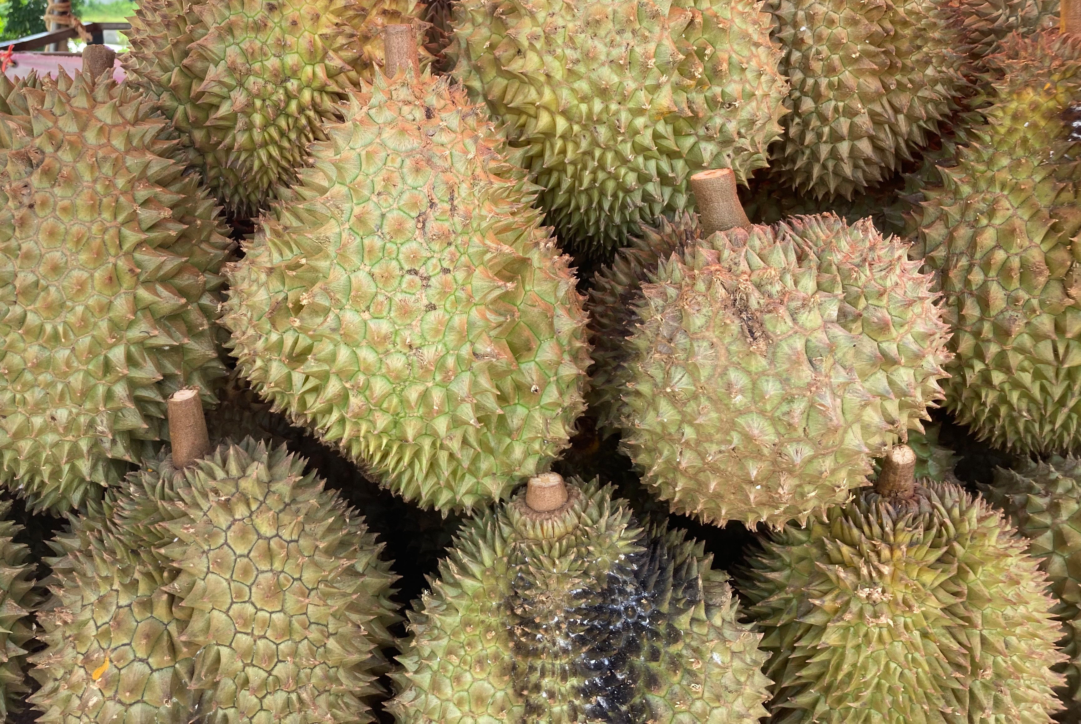 Durians on sale at a market in Phuket, Thailand. Photo: dpa