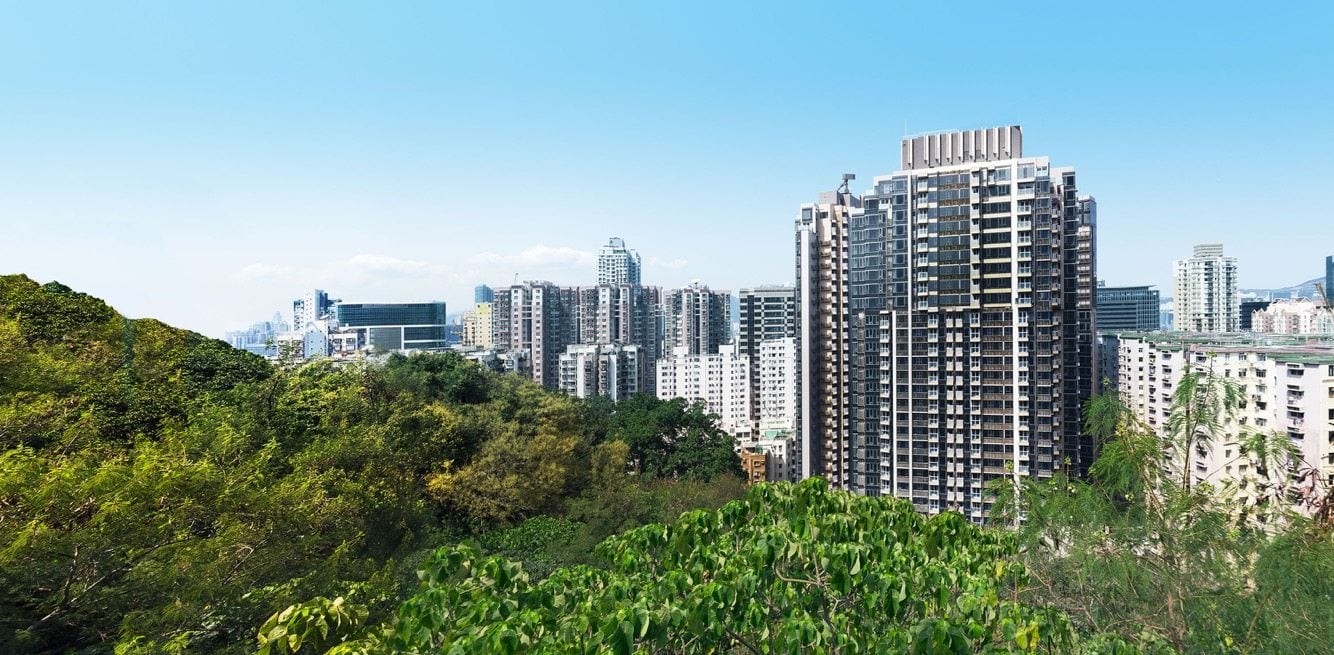 Fleur Pavilia, a luxury development in North Point, is one of the areas negatively affected by the launch of cut-price new flats nearby. Photo: Handout