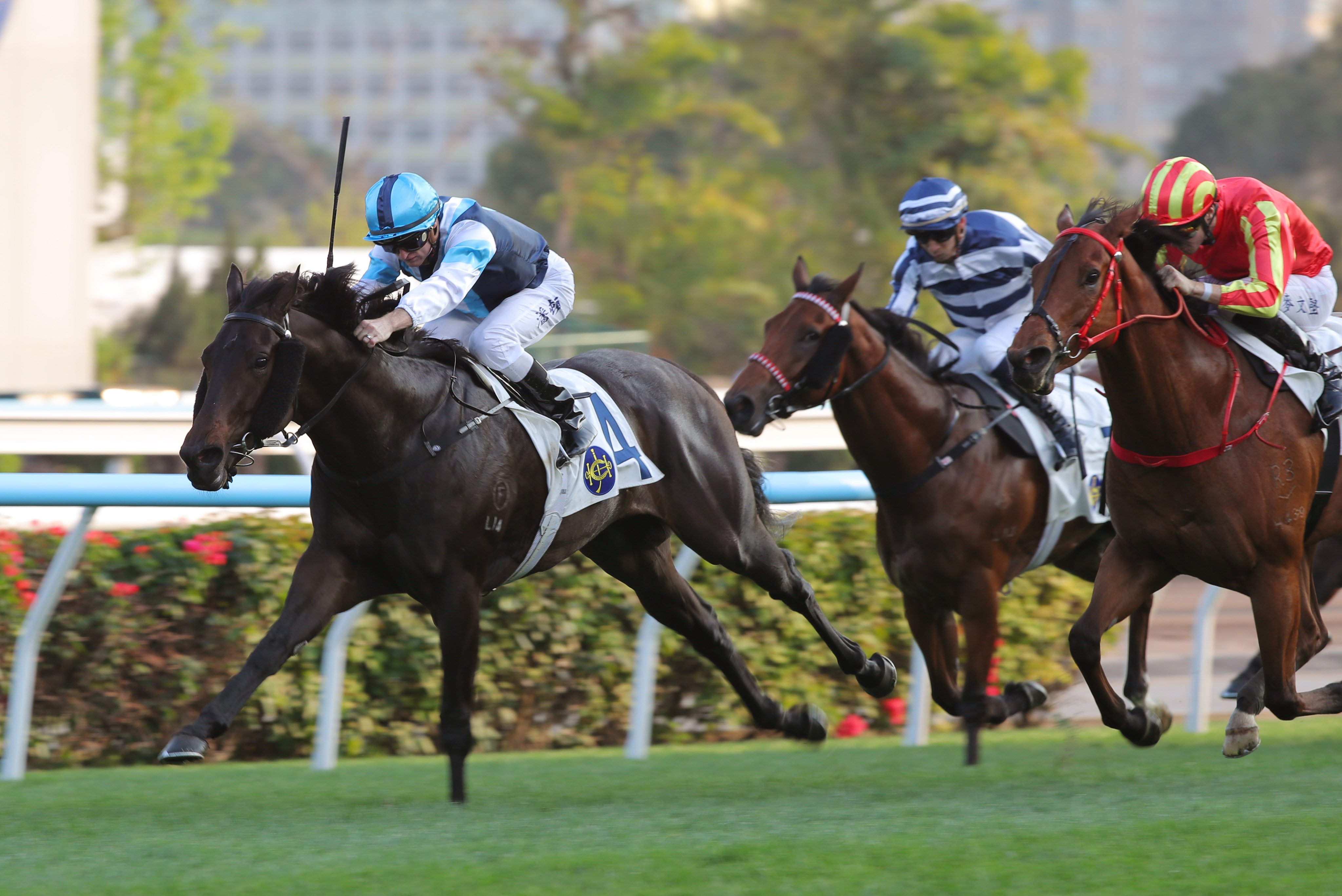 Cool Boy wins at Sha Tin in February. Photos: Kenneth Chan