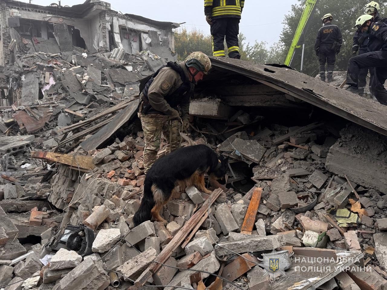 A police officer with a dog searching for people under the rubble of a five-storey residential building following a Russian attack that killed seven people, including three children, in Zaporizhzhia, on Saturday. Photo: AFP