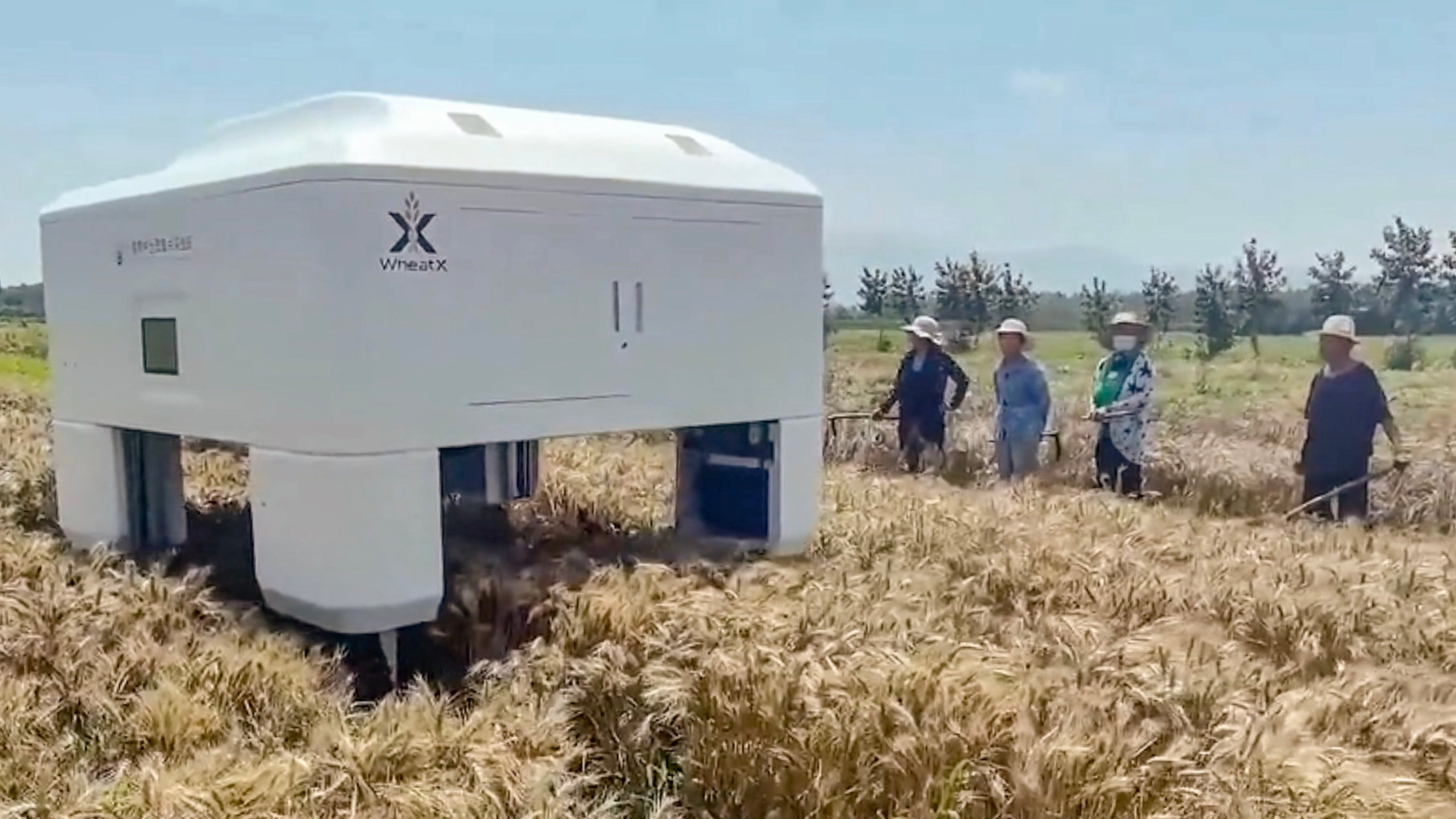 The prototype robot designed by Shandong Agricultural University seen in operation in a video screenshot. Photo: Dazhong Daily