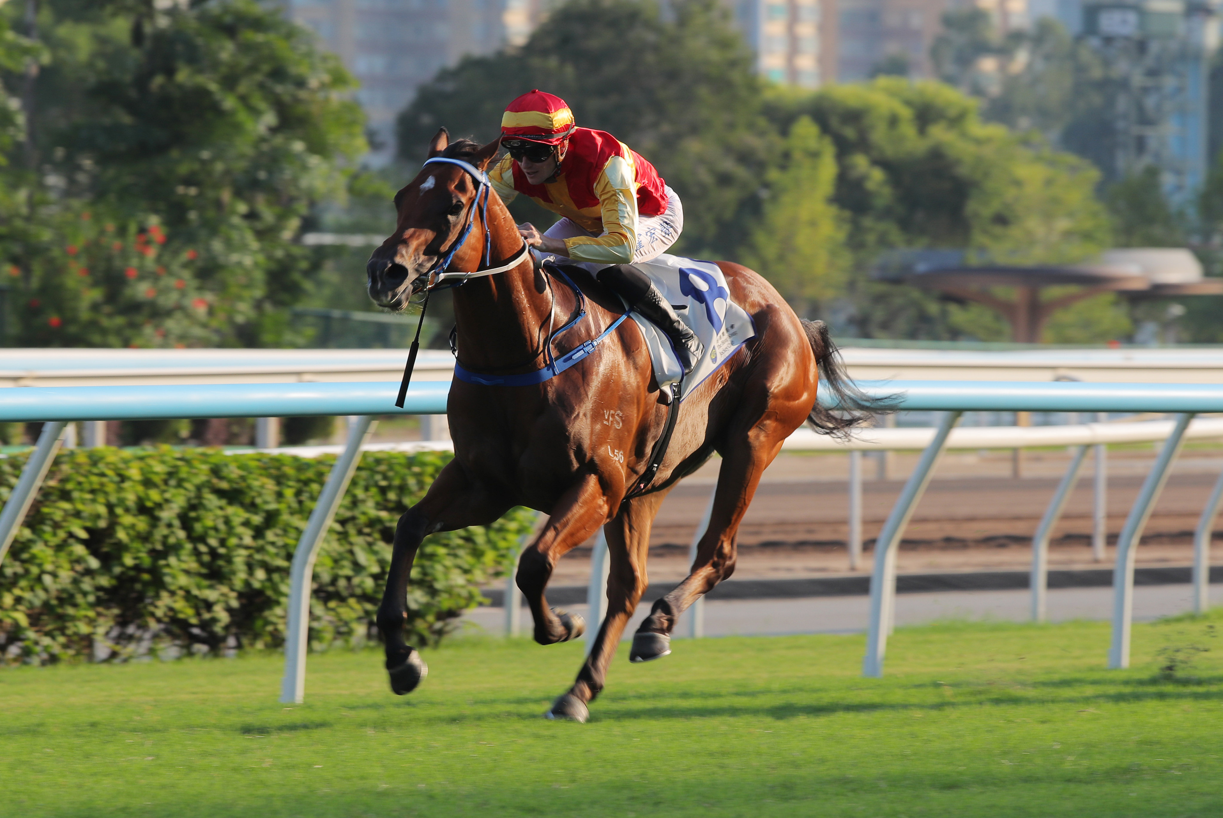 Luke Ferraris guides Megastar Heart to an explosive first-up win at Sha Tin. Photos: Kenneth Chan