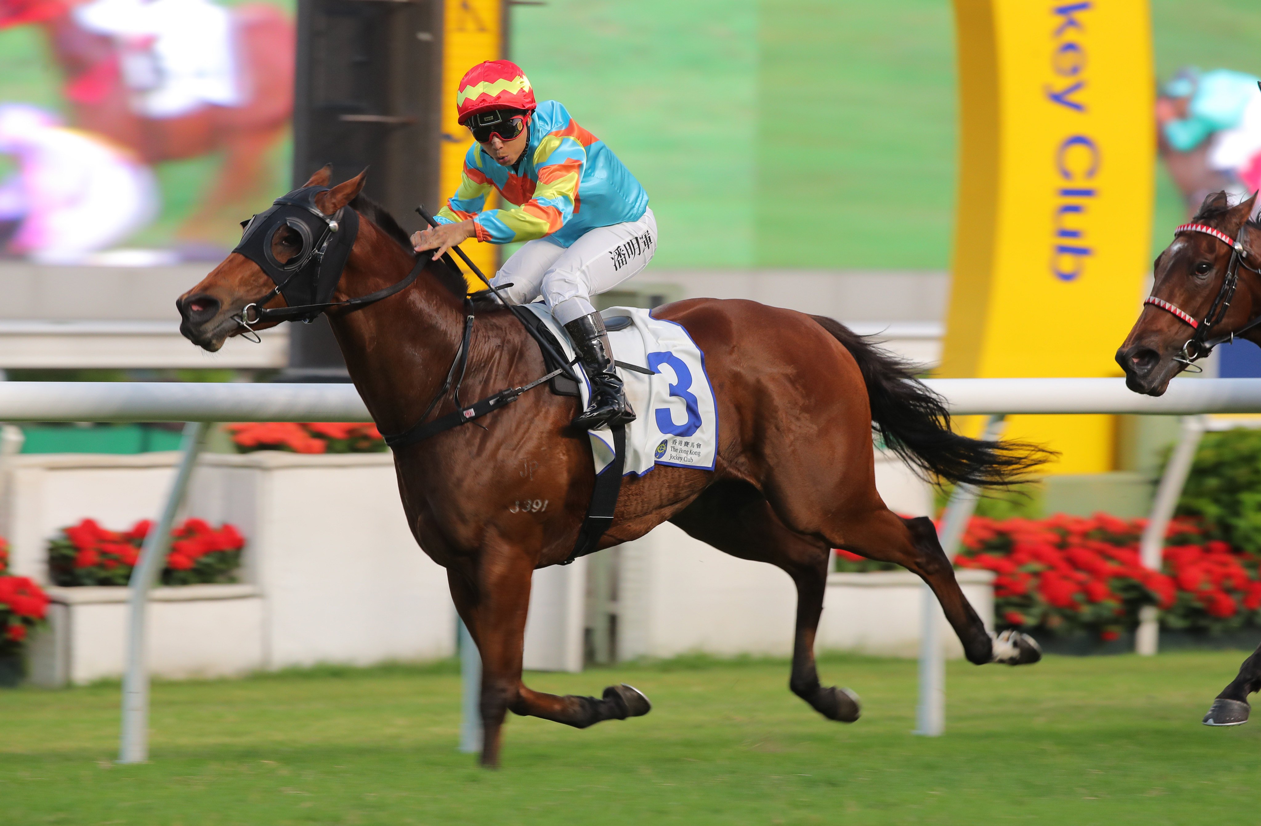 Ka Ying Attack and Matthew Poon win at Sha Tin. Photos: Kenneth Chan