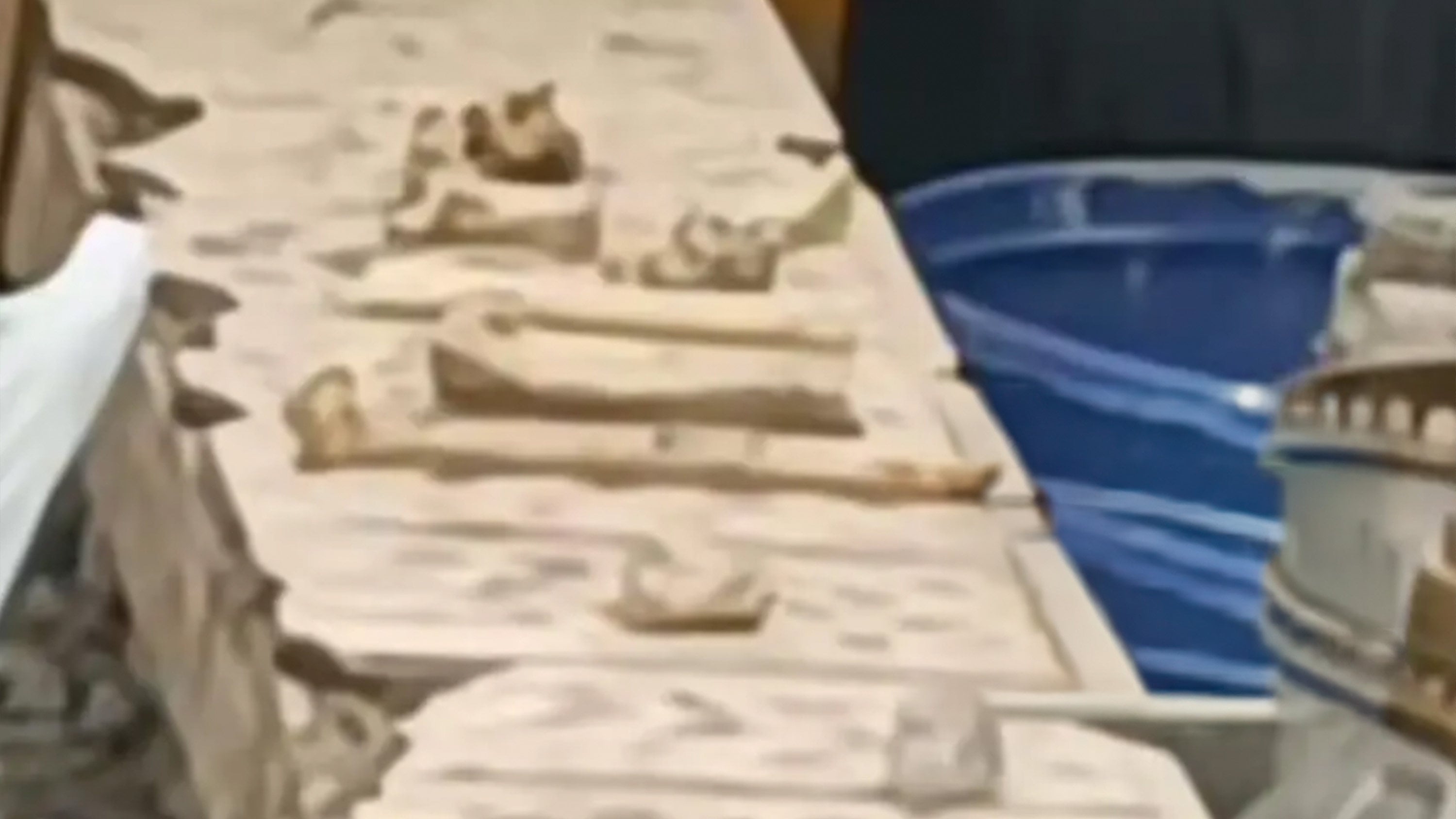 Chengdu police arrested a man for fabricating a viral online hoax that falsely claimed a child was buried on a residential building’s rooftop. Photo: Sohu