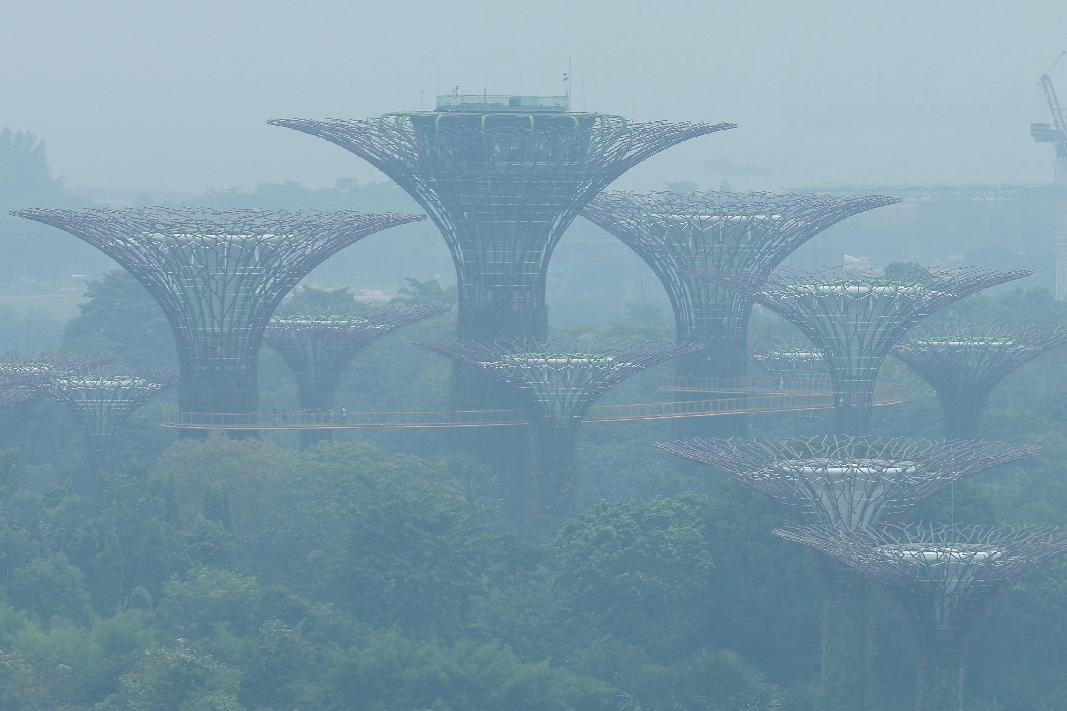 Environmental Day Event Cloudy outlook? How haze crisis is testing Singapore’s events economy ...