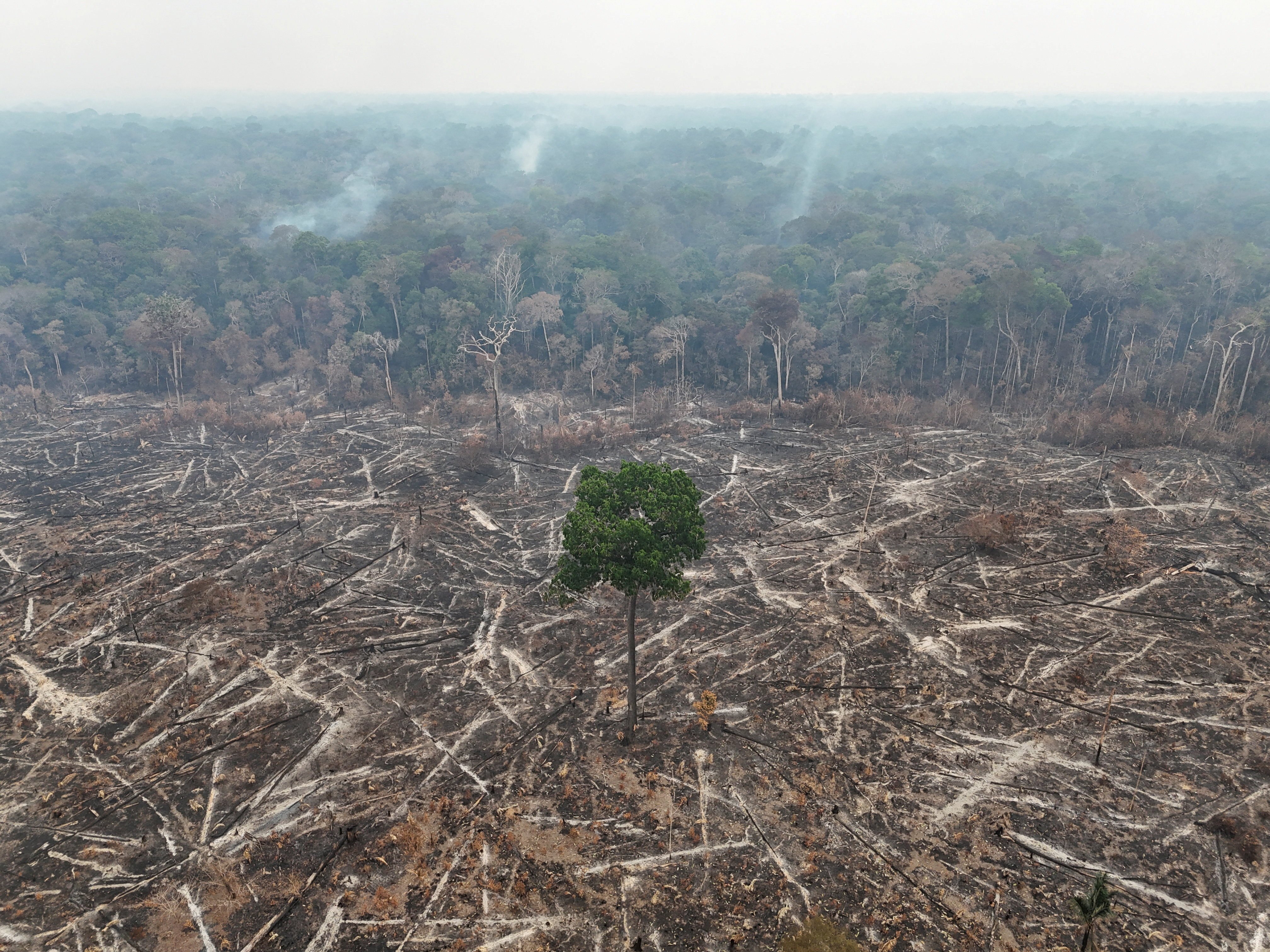 A deforested area in Amazonas state, Brazil. A report found deforestation slowed across Latin America in 2025. Photo: Reuters