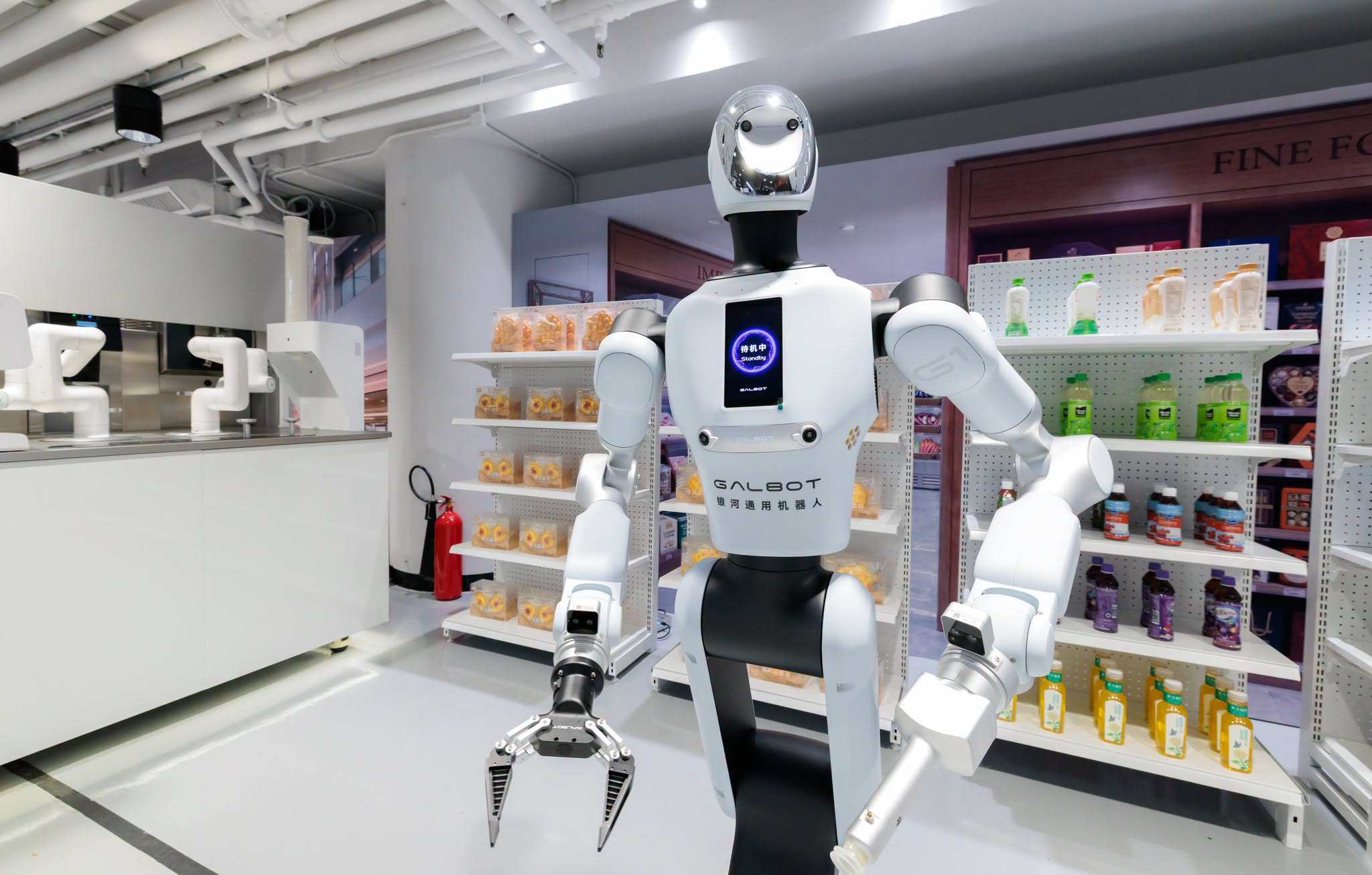 A Galbot robot is seen at the opening of the Hong Kong Productivity Council’s experimental hub for embodied AI applications on Thursday. Photo: Handout