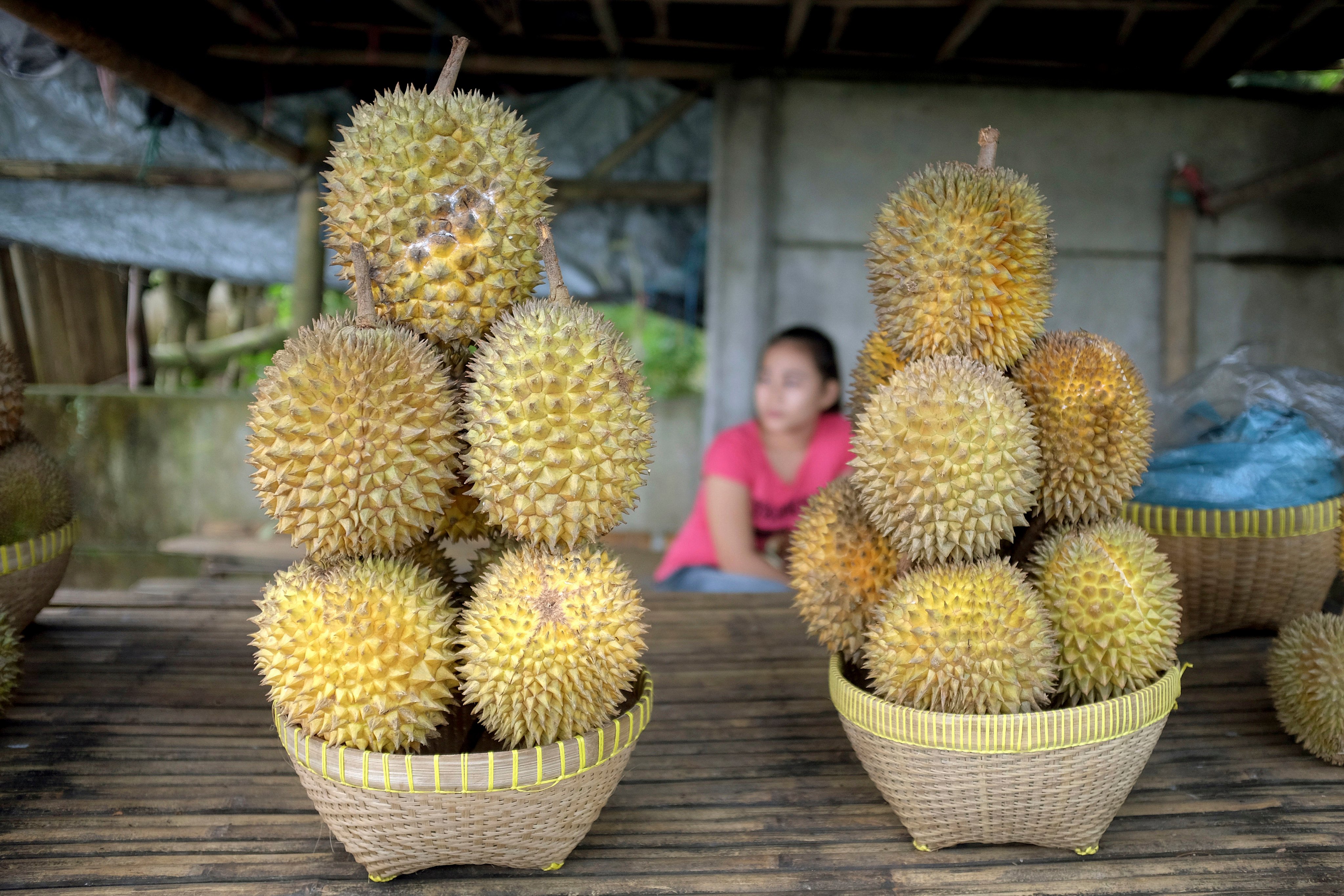 Durian for sale at a roadside stall in Lombok, Indonesia. Photo: Getty Images