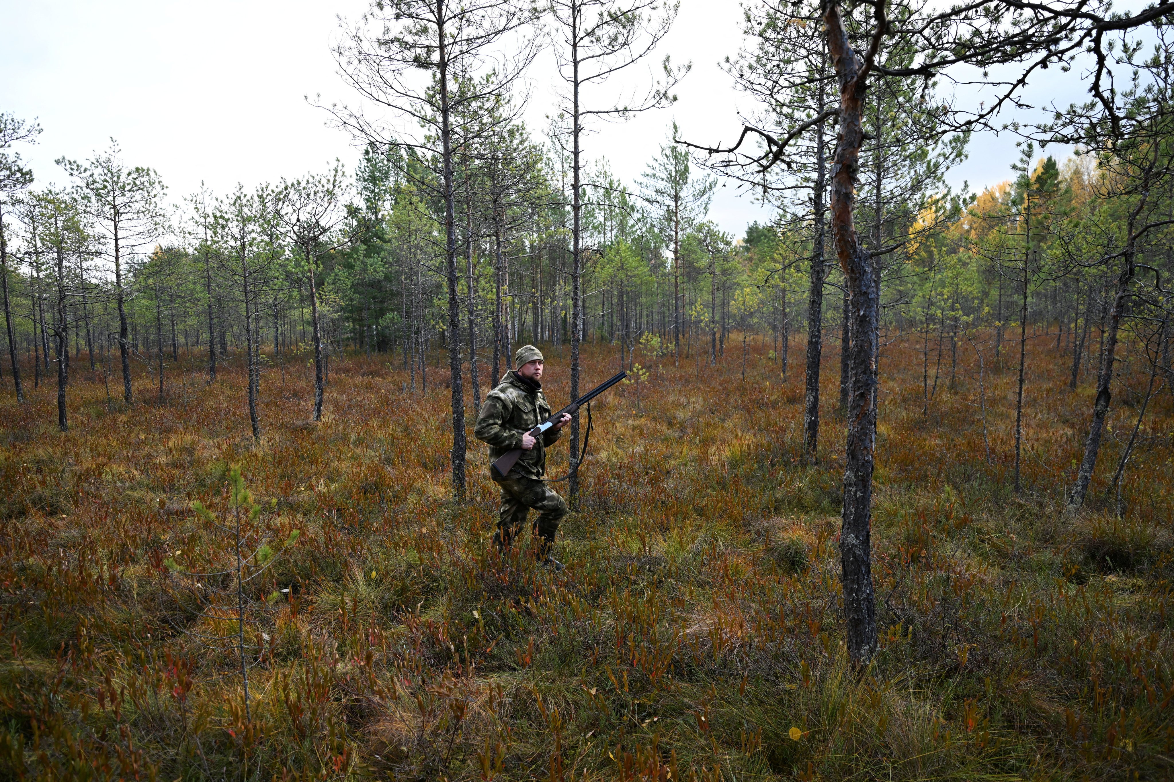 A hunter takes part in a bear hunt outside the settlement of Podtesovo in Russia’s region on September 27. Photo: Reuters