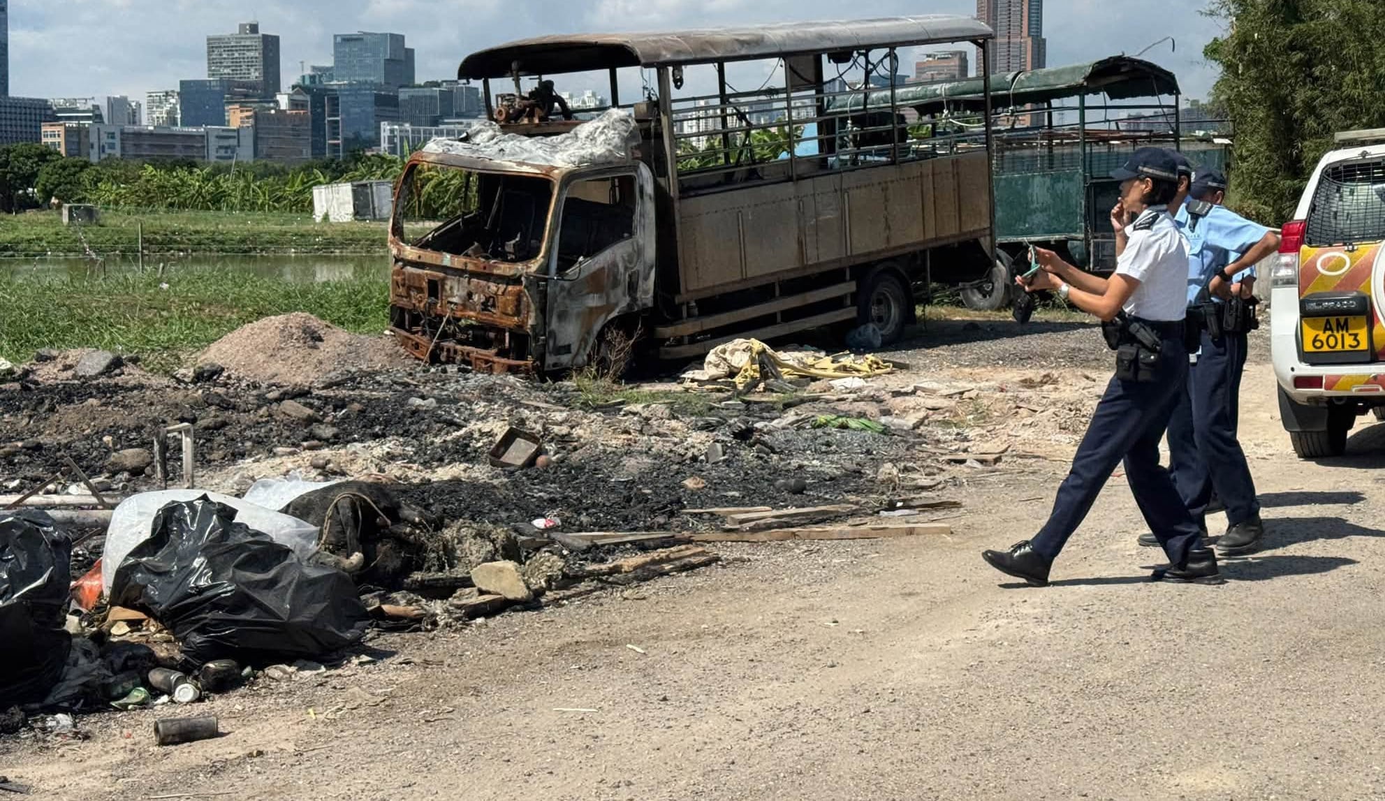 Police have launched an animal cruelty investigation after five dogs were found dead near fish ponds in the northern New Territories. Photo: Hong Kong Animal Post
