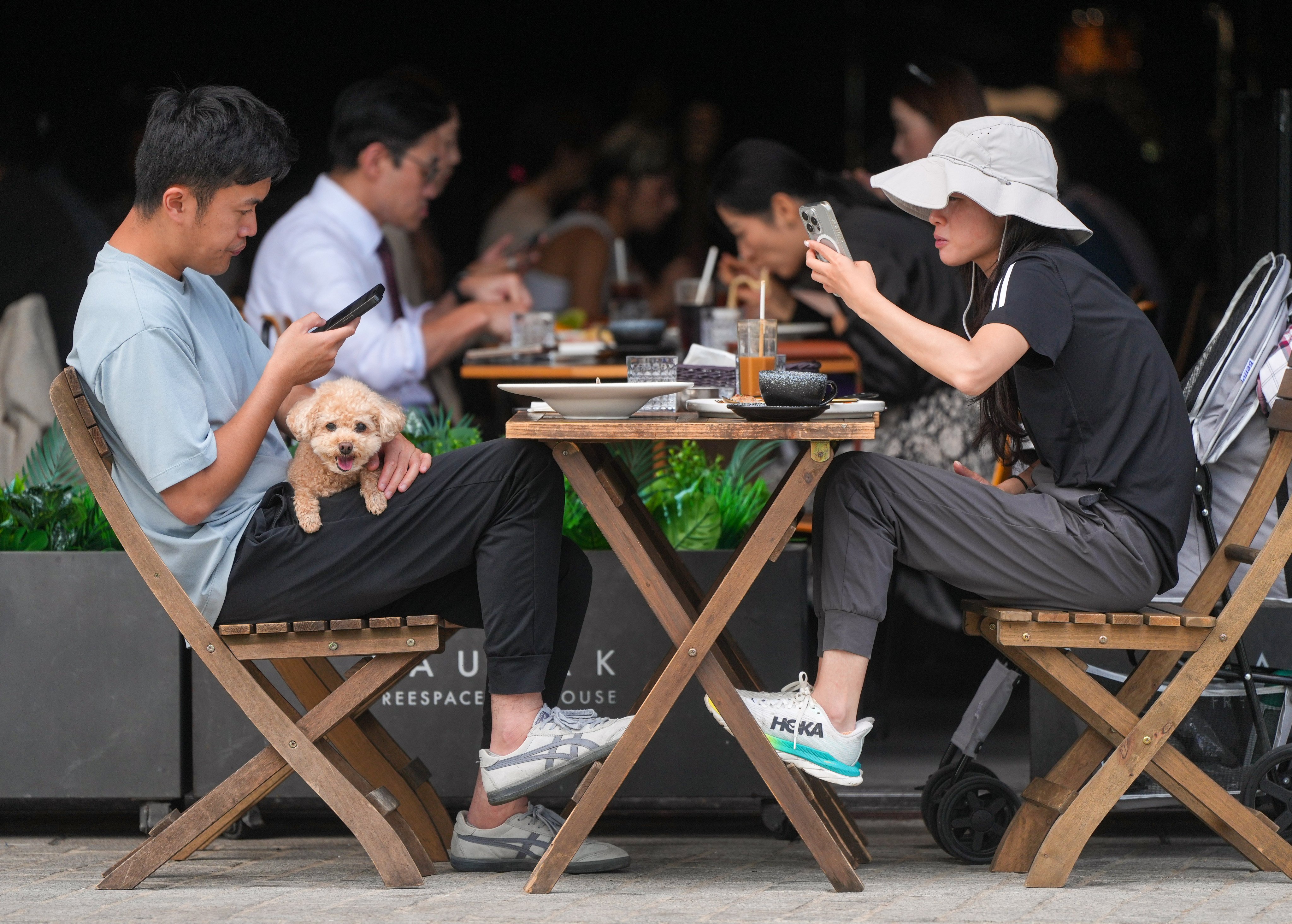Hong Kong residents planning to dine out with their dogs are urged to check in advance whether an establishment was permitted to admit them. Photo: Sam Tsang