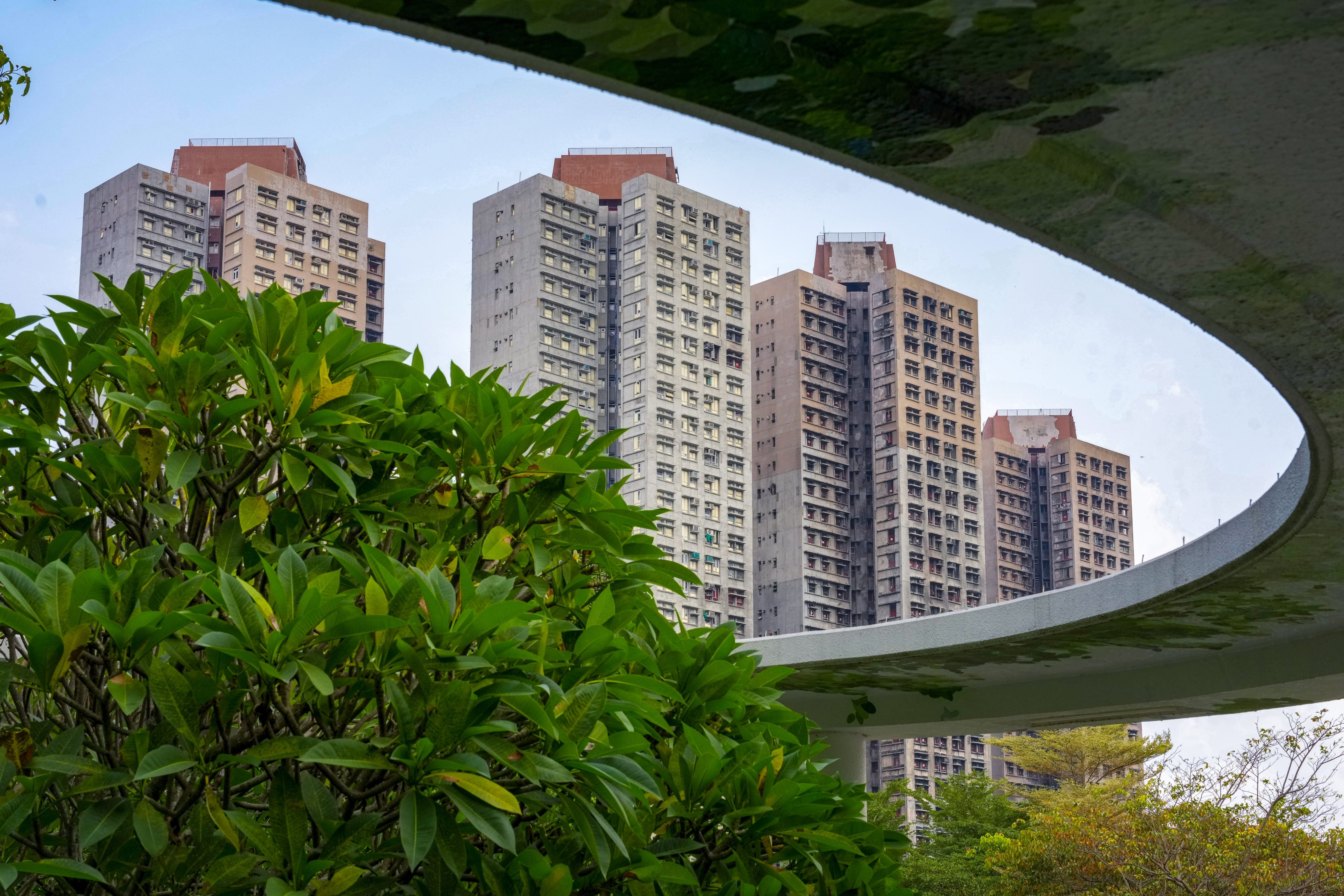 The Tai Po fire killed 168 people and displaced about 5,000 others after tearing through all but one of Wang Fuk Court’s eight residential towers. Photo: Dickson Lee