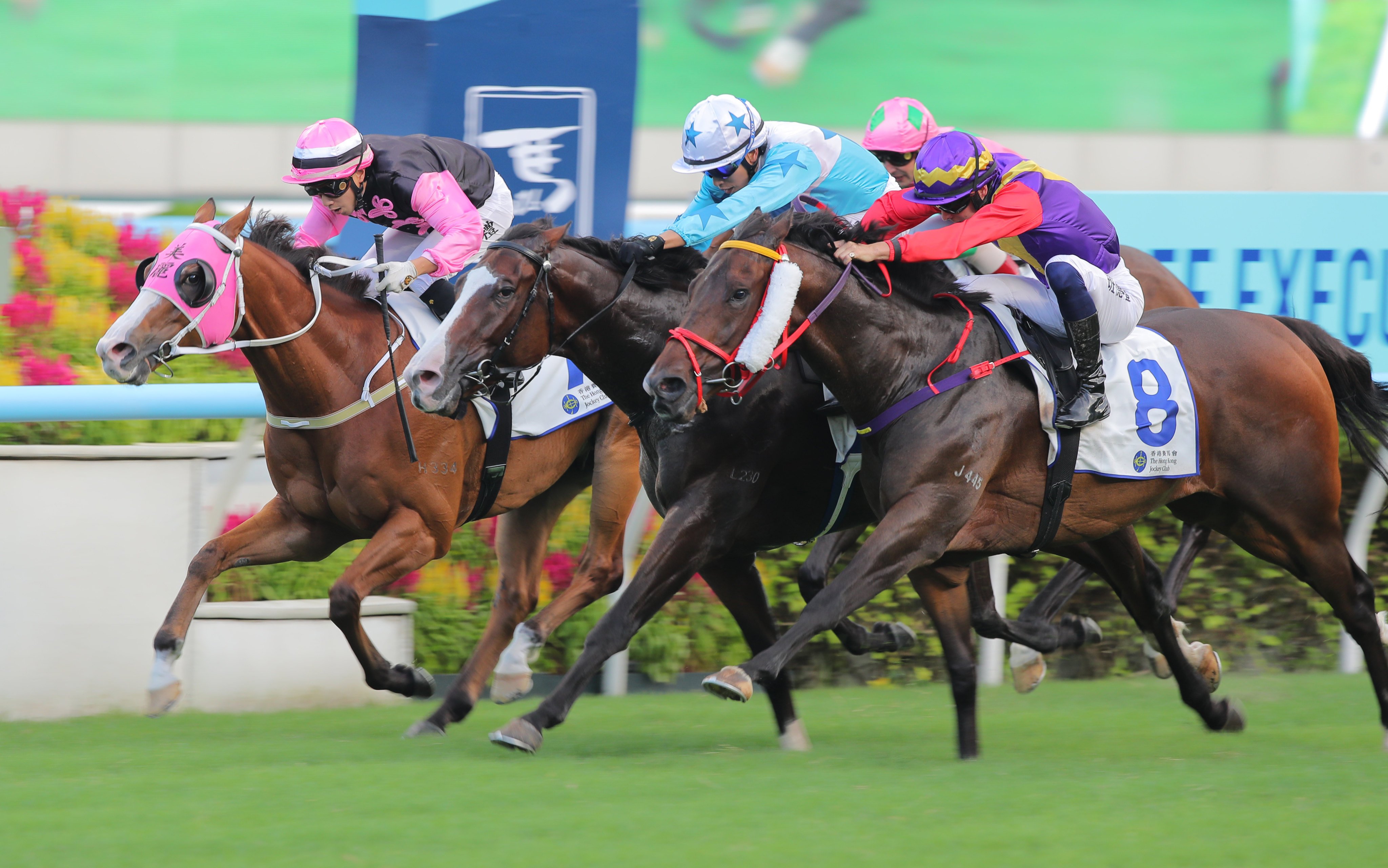 Baby Sakura (middle) wins at Sha Tin last month. Photos: Kenneth Chan