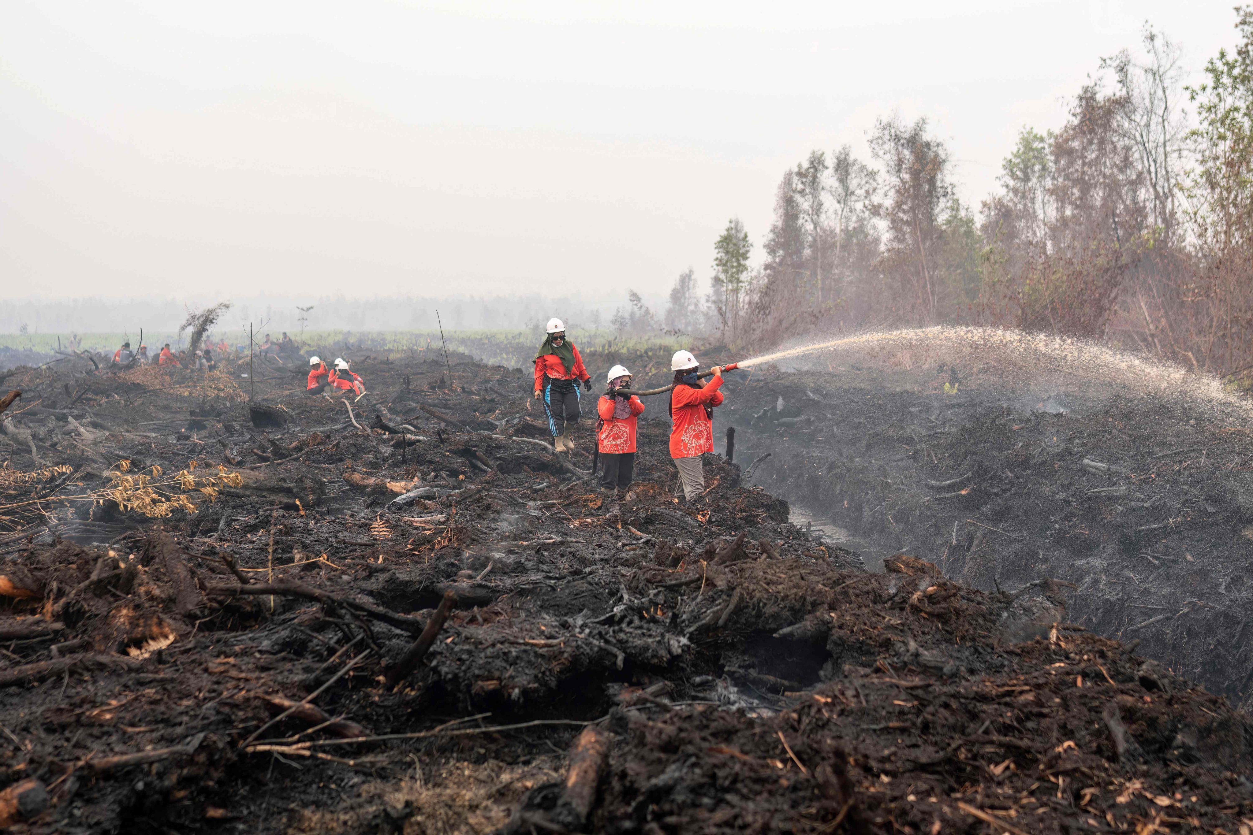 Firefighters spray water on peatland fires in West Kalimantan, Indonesia in September. Fires in Indonesia have caused a regional haze crisis. Photo: AFP