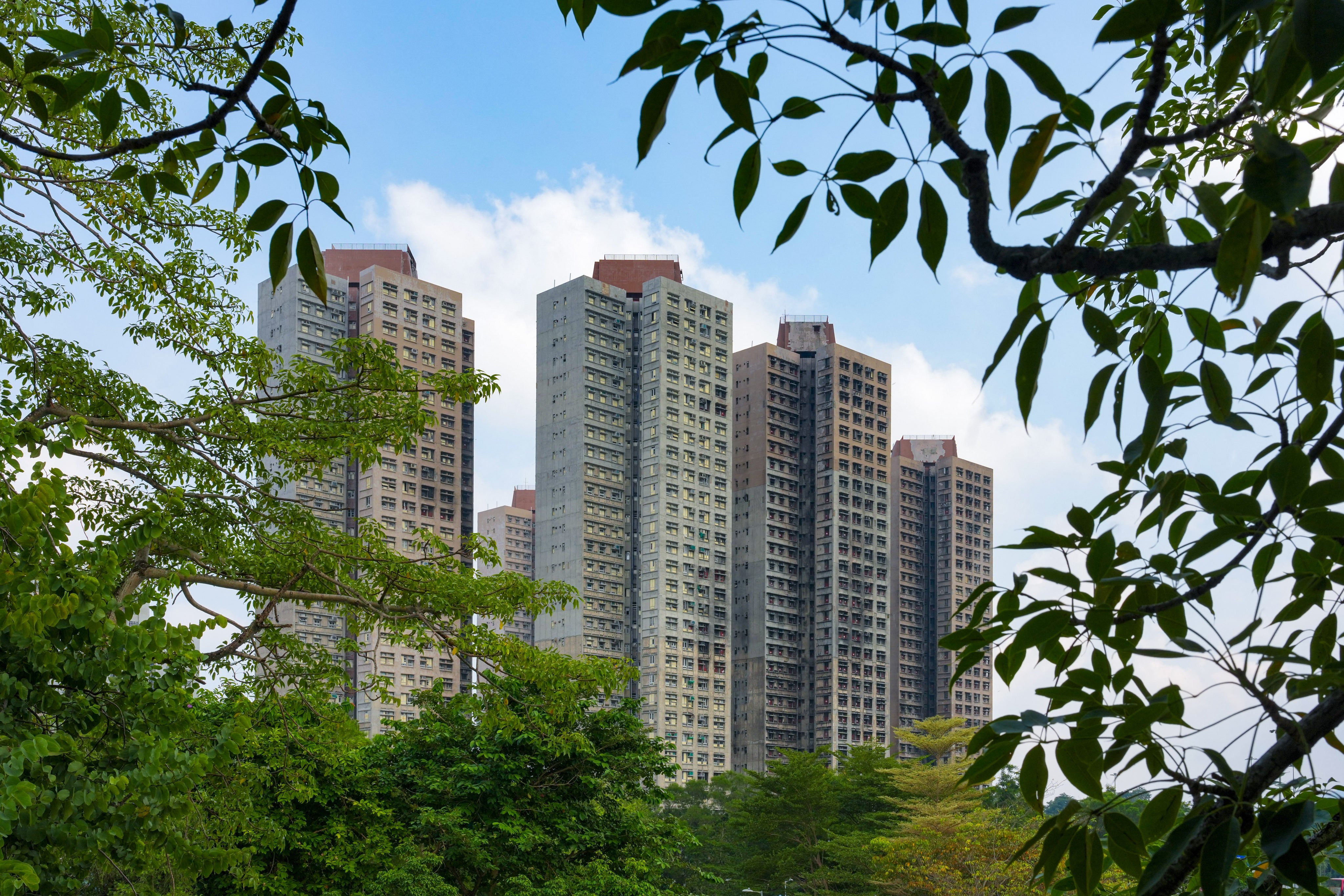 Wang Fuk Court was the scene of Hong Kong’s deadliest fire in decades. Photo: Dickson Lee